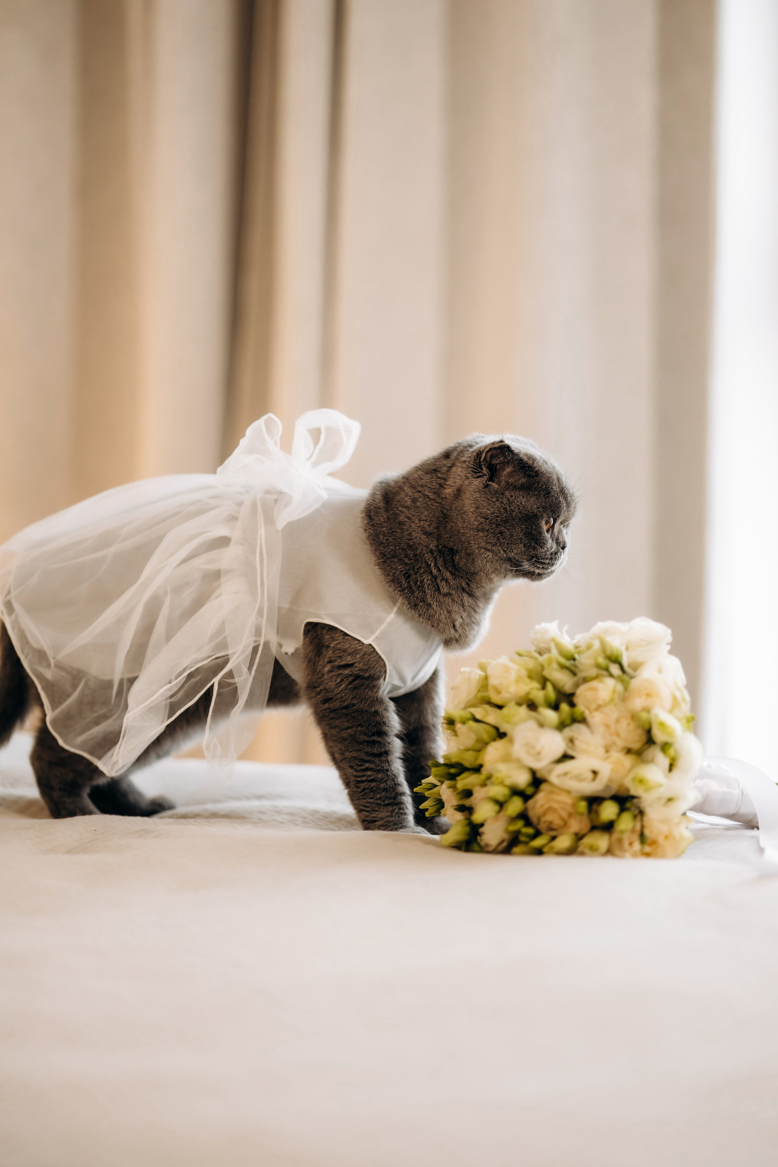 Вікторія та Олександр. Весільний та сімейний фотограф