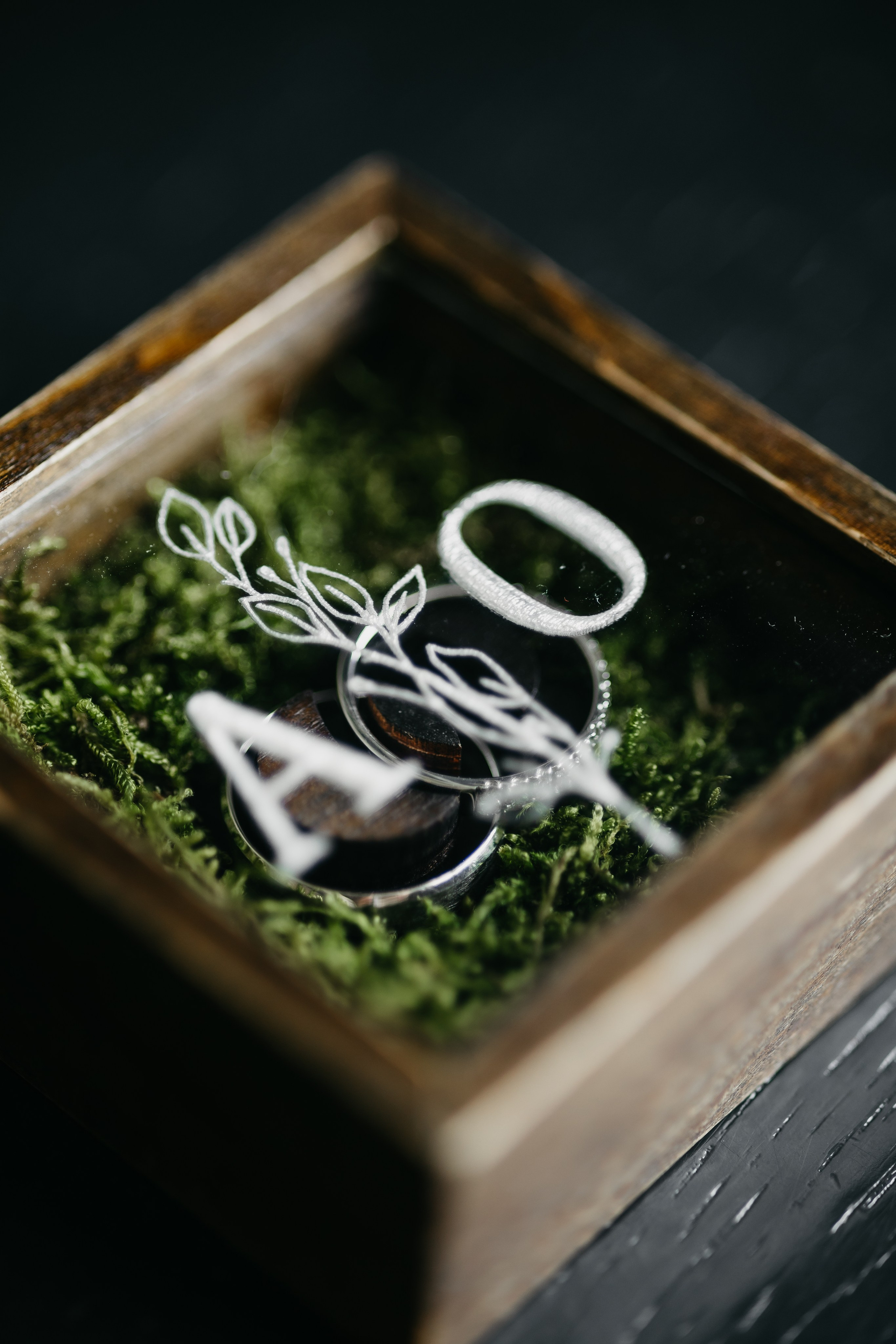 Весільний та сімейний фотограф