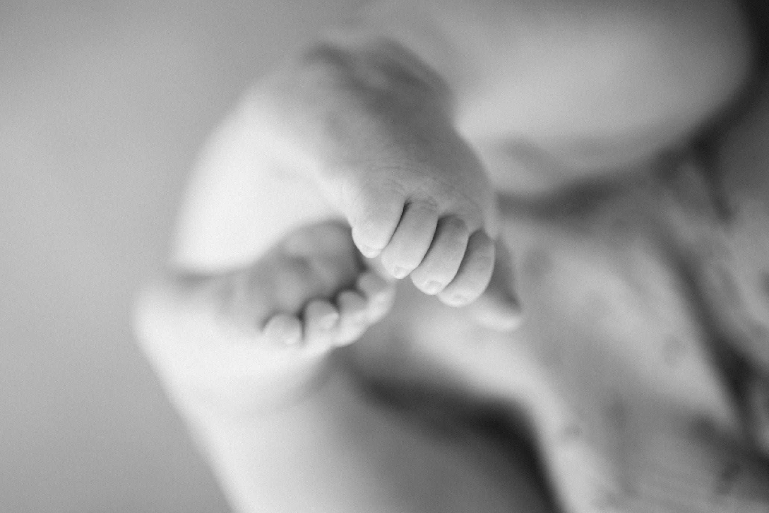 Ева та сімʼя. Весільний та сімейний фотограф