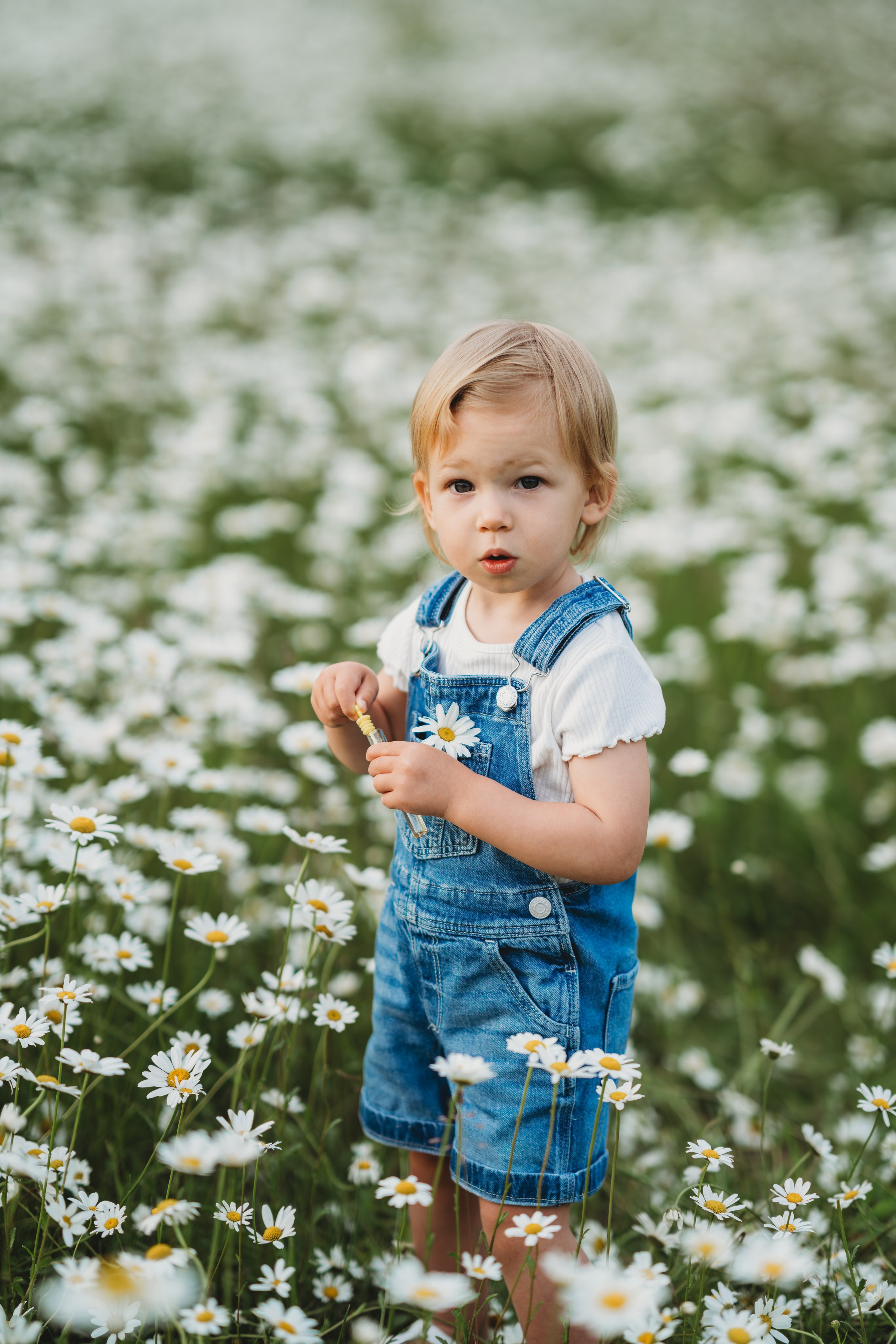 Yana Shevtsova Family photographer