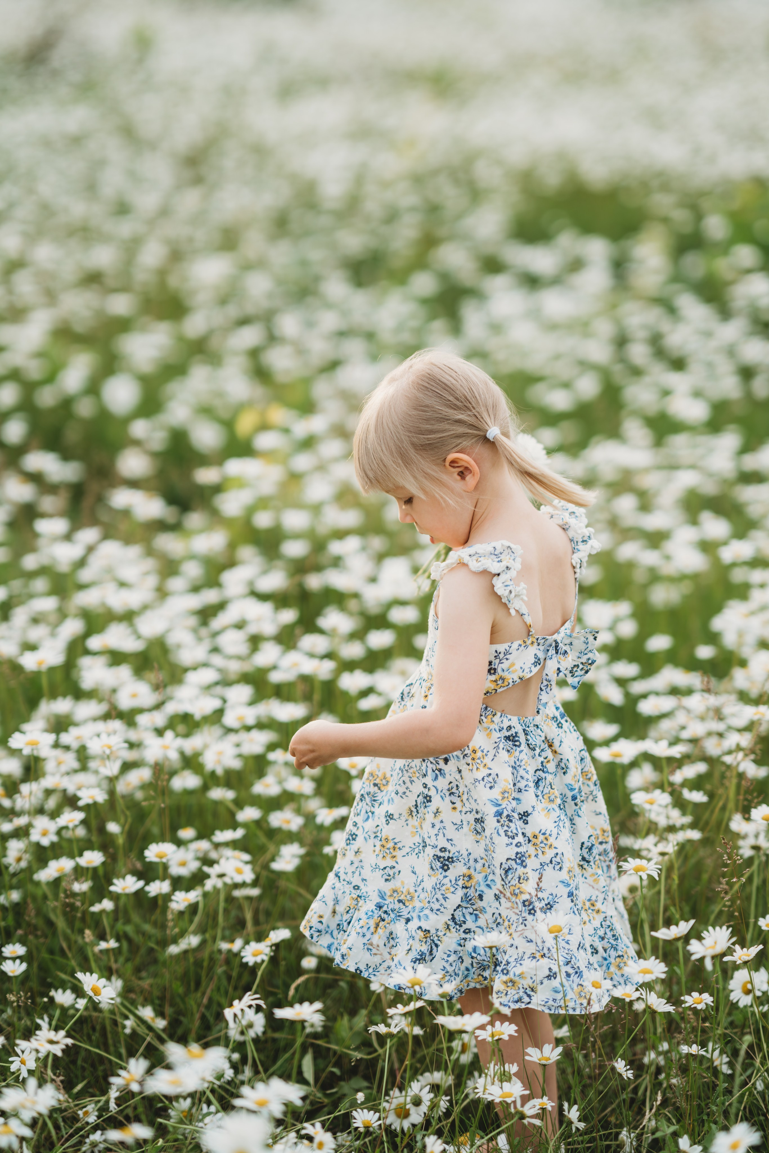 Yana Shevtsova Family photographer