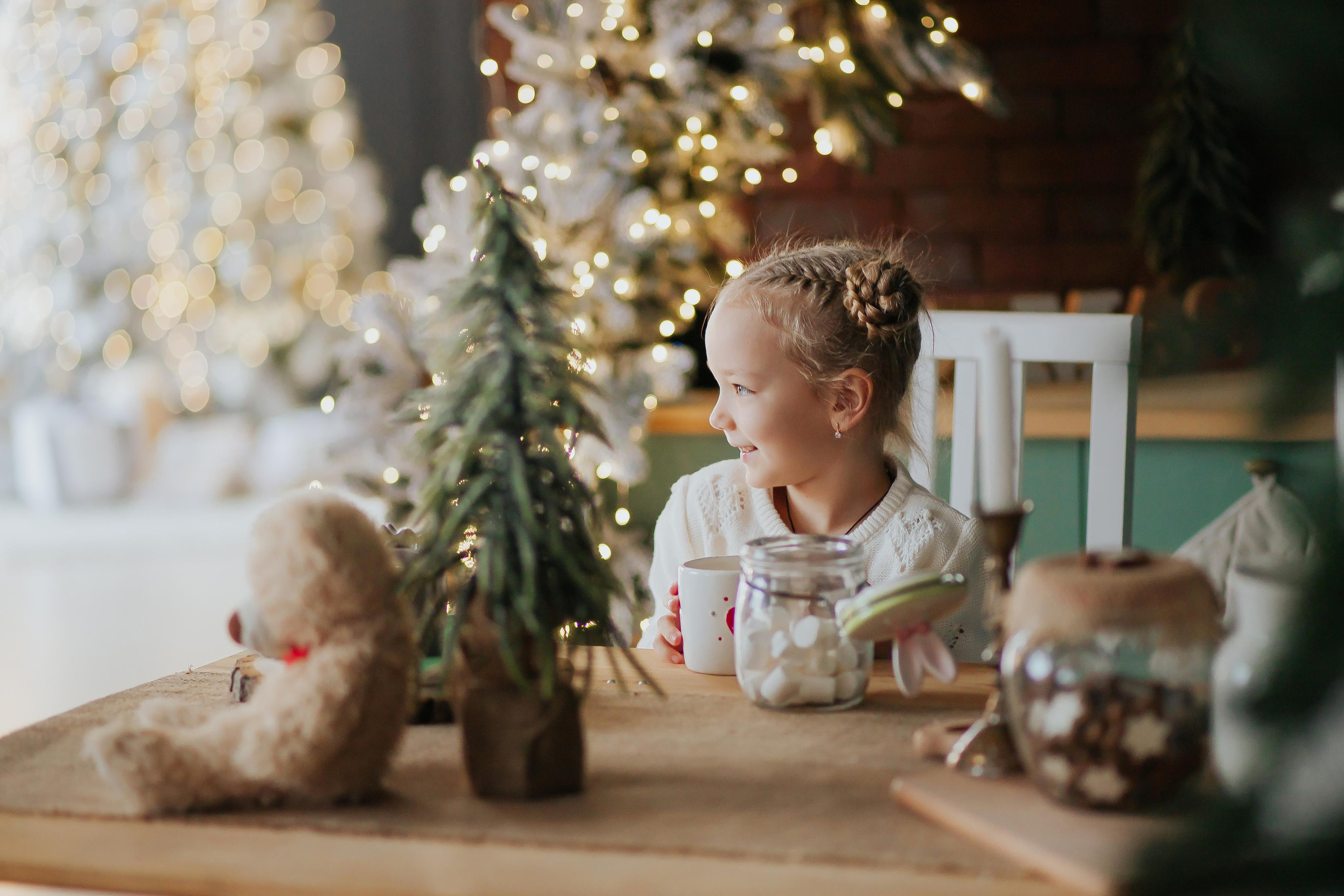 Новорічна фотосесія. Photographer ANNA PRUS