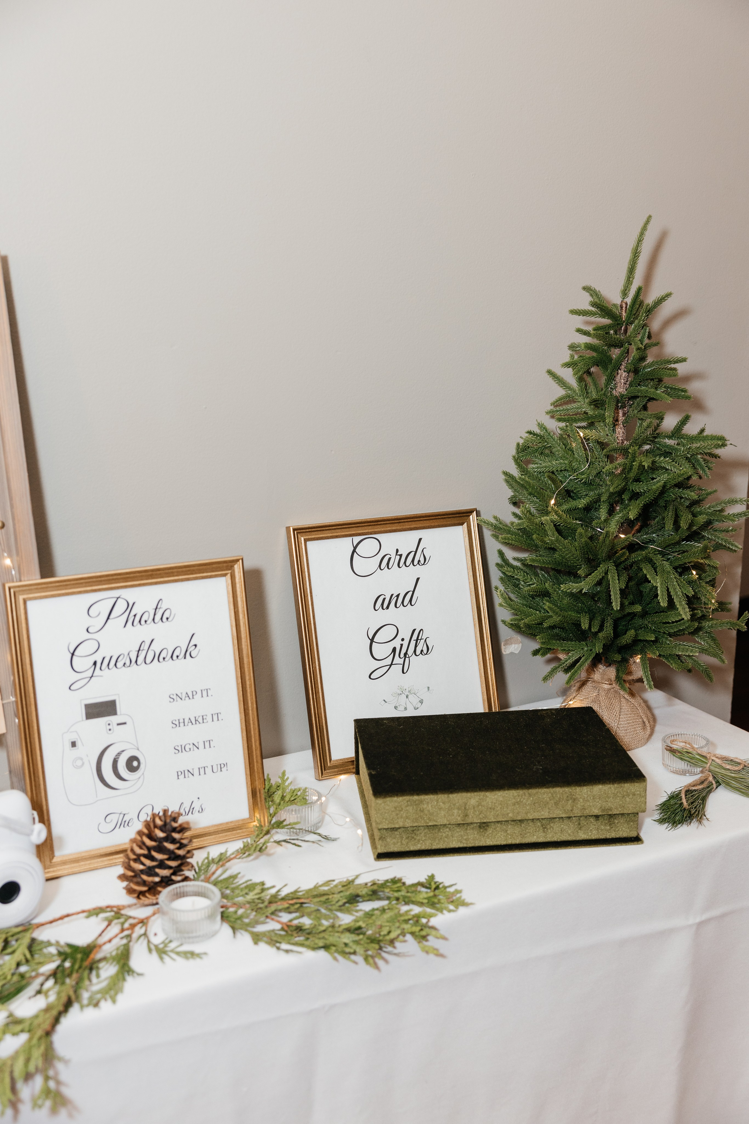 Winter wedding. Emerald lake lodge. Affordable Photographer in Calgary — Tetiana Shuhai