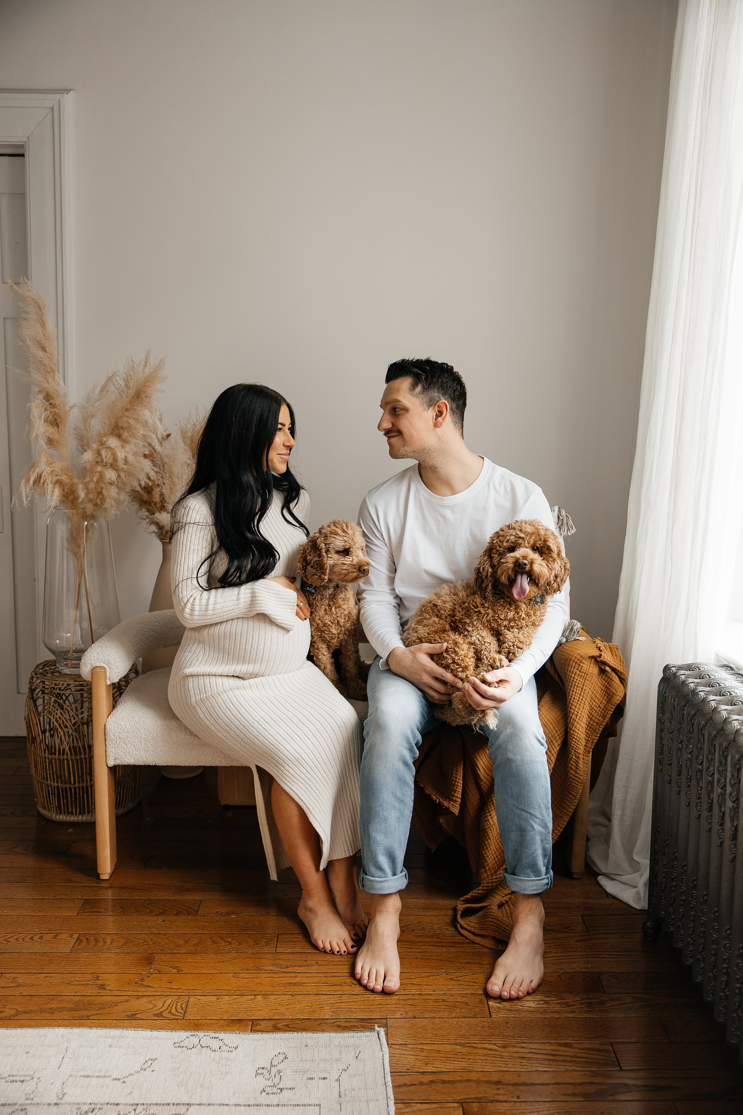 Maternity+2 cute dogs