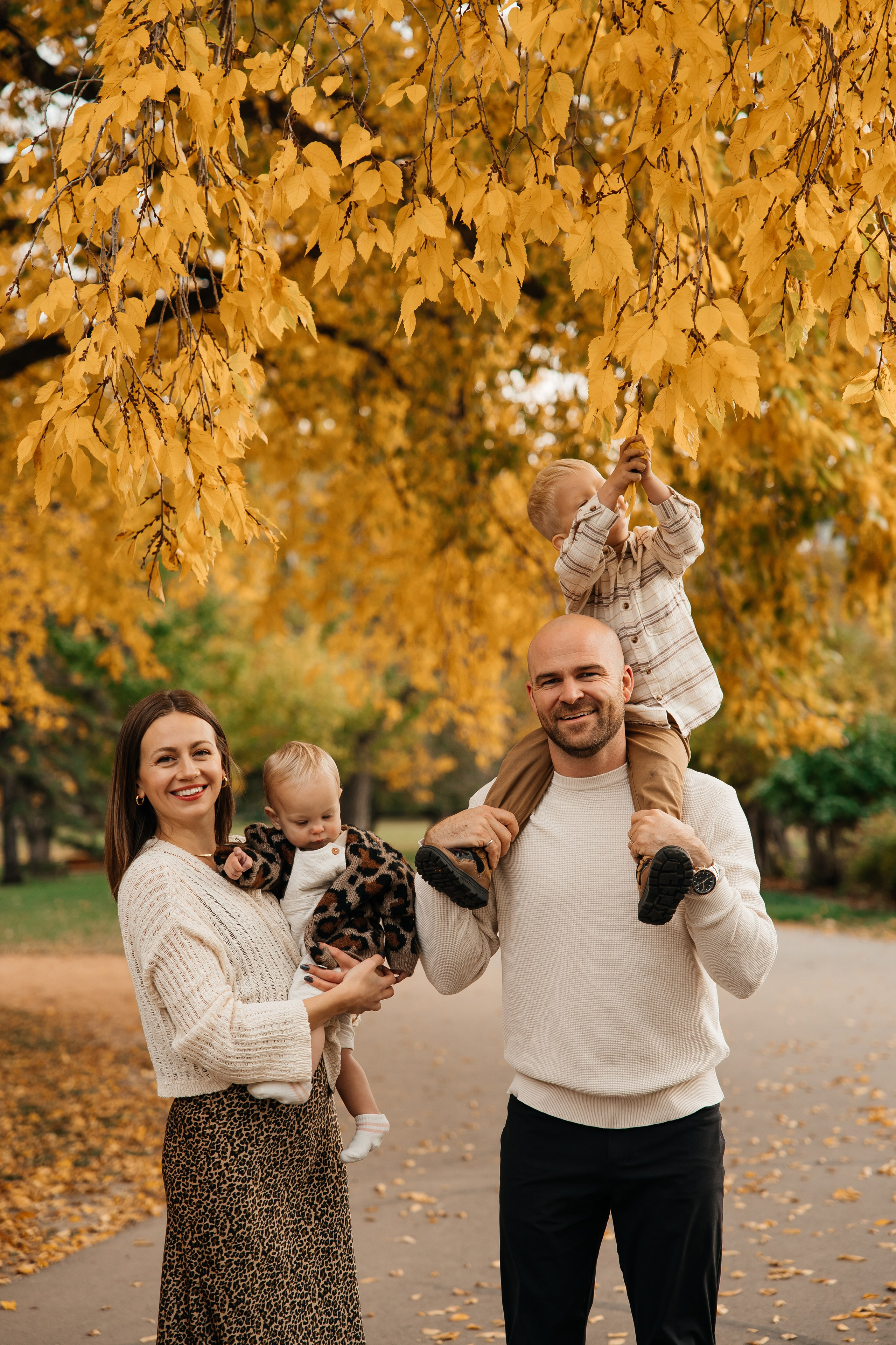 Family.Fall session