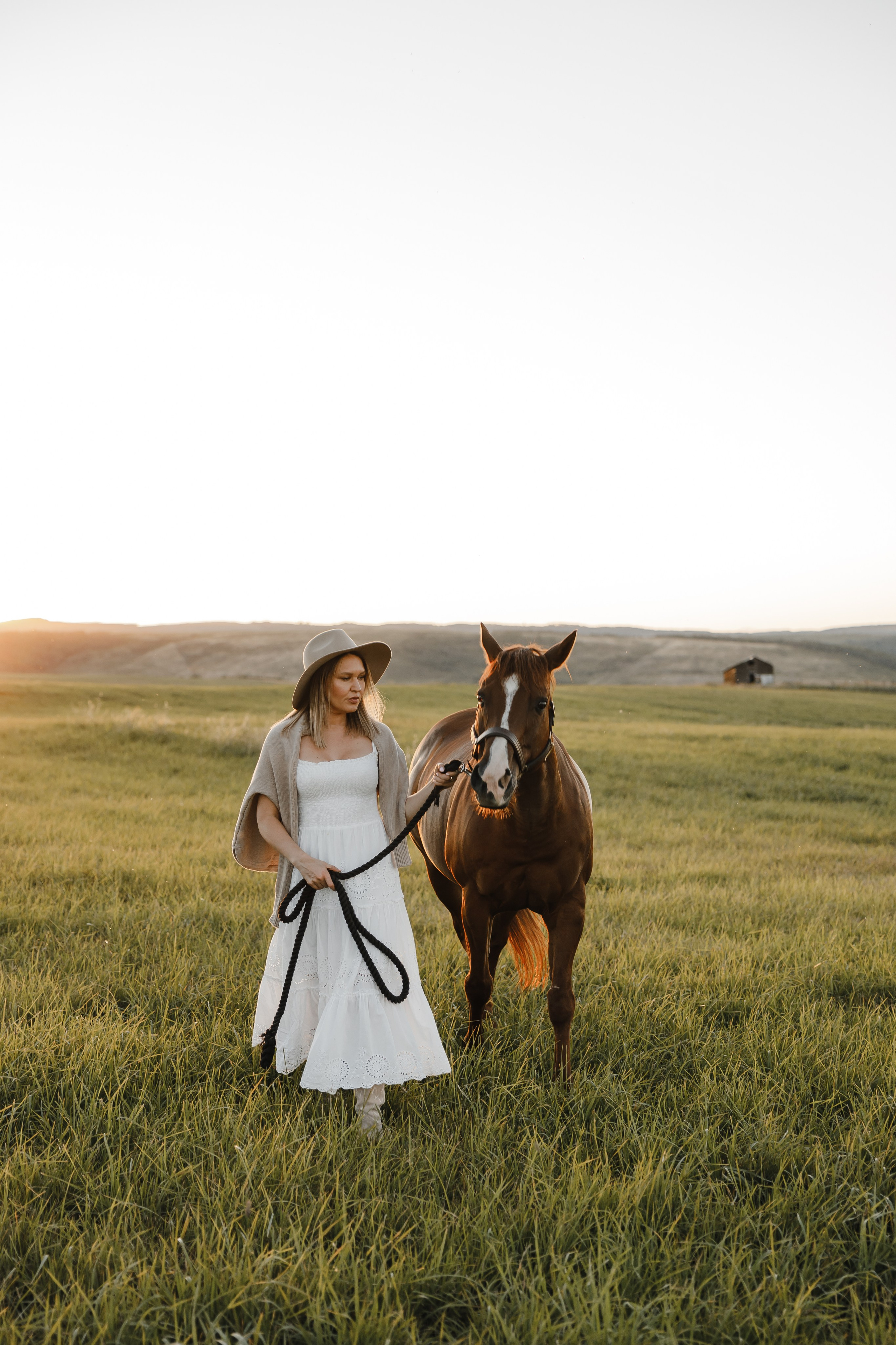 Maria. Sunset photoshoot with hourse