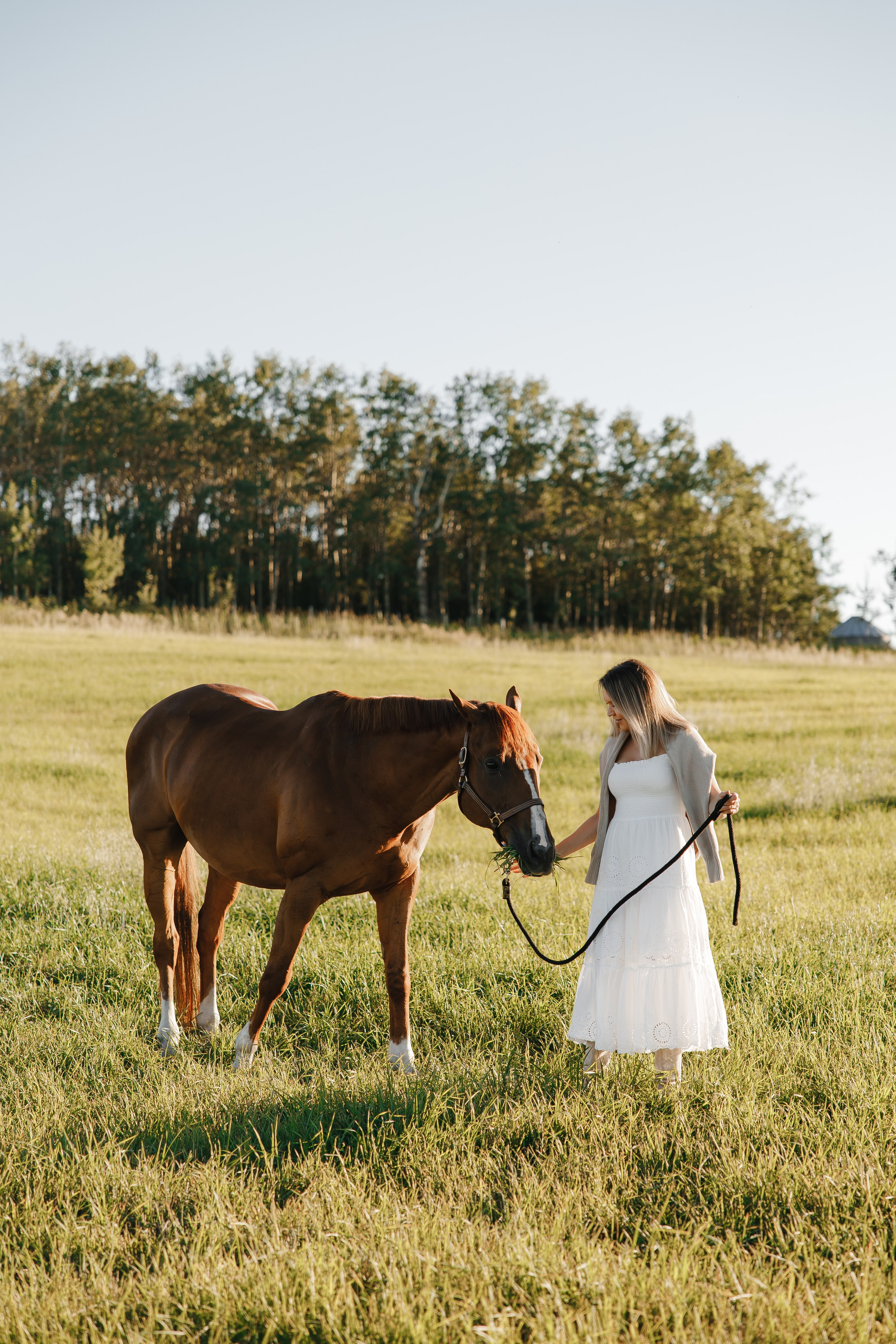 Maria. Sunset photoshoot with hourse