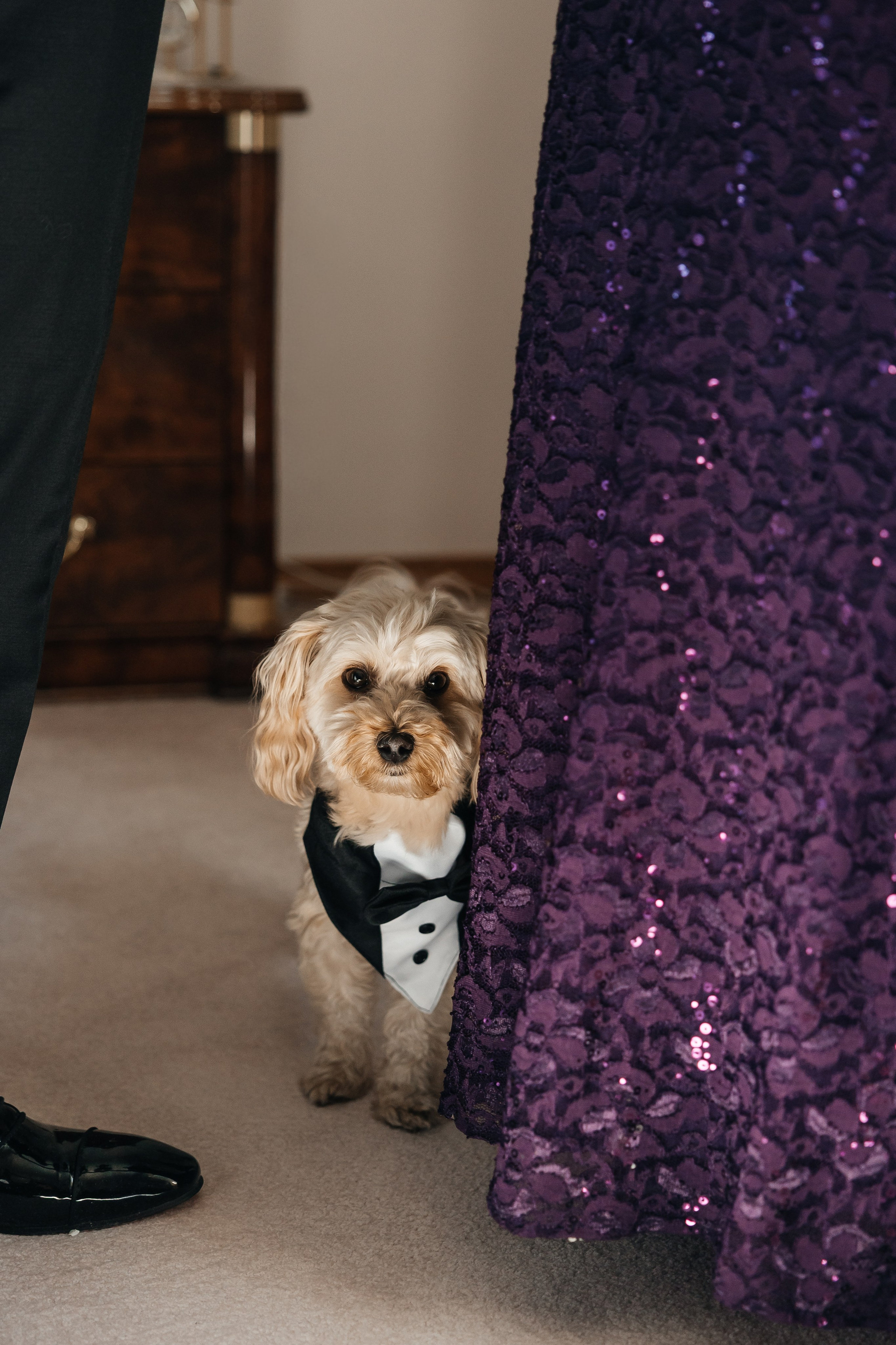 Laura&Roberto. Affordable Photographer in Calgary — Tetiana Shuhai