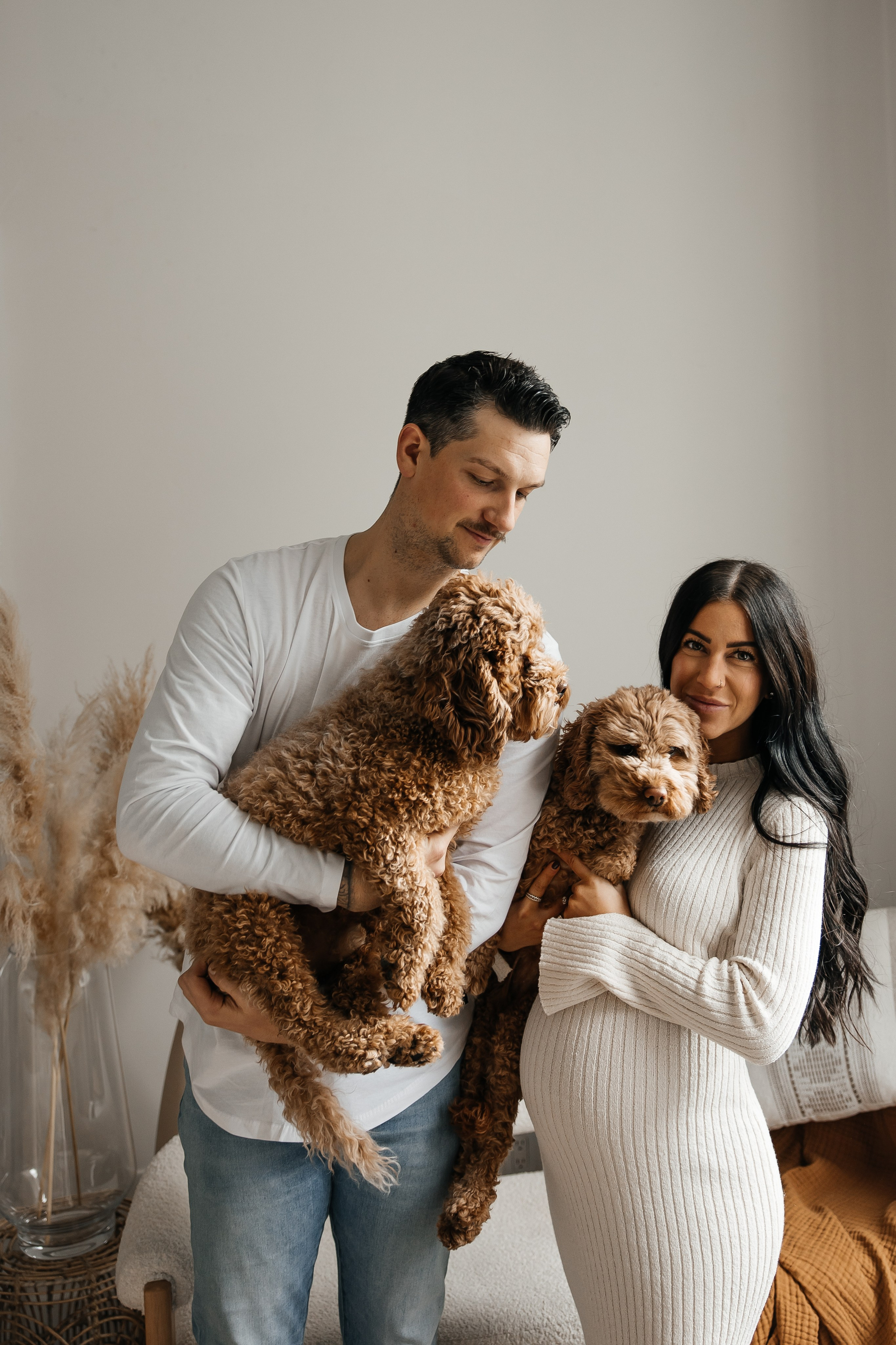 Maternity+2 cute dogs