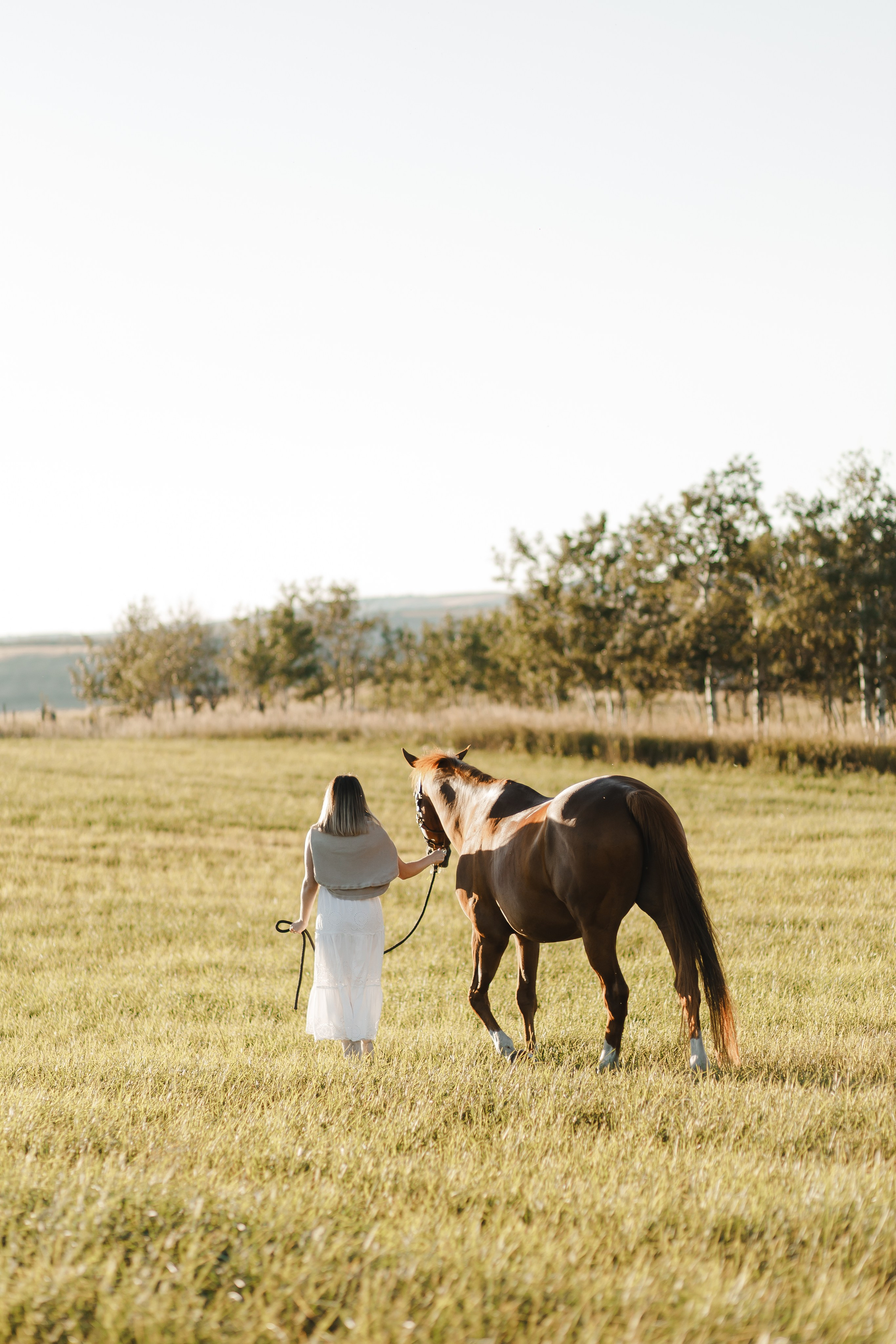 Maria. Sunset photoshoot with hourse