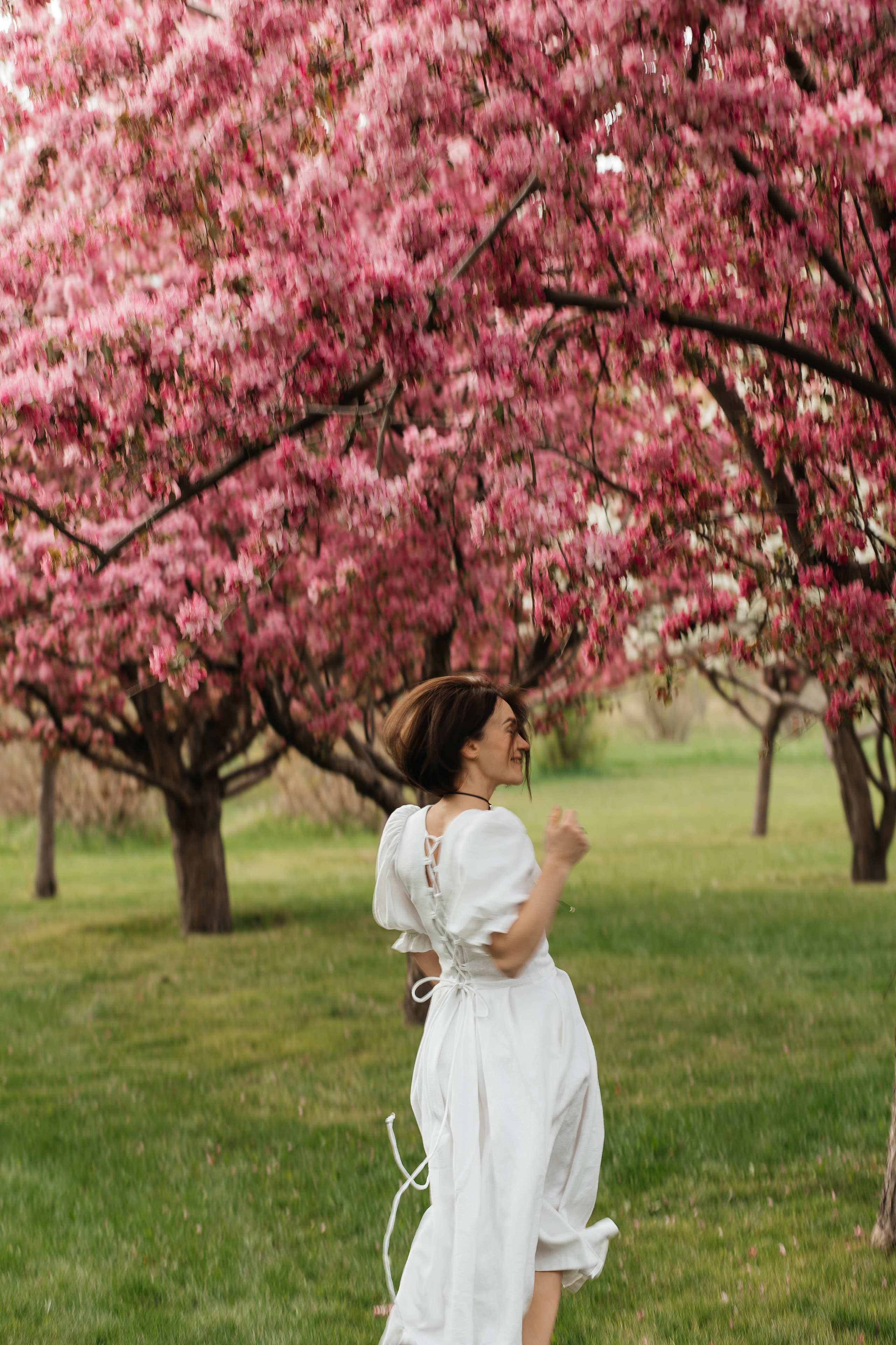Alevtina. Cherry blossom