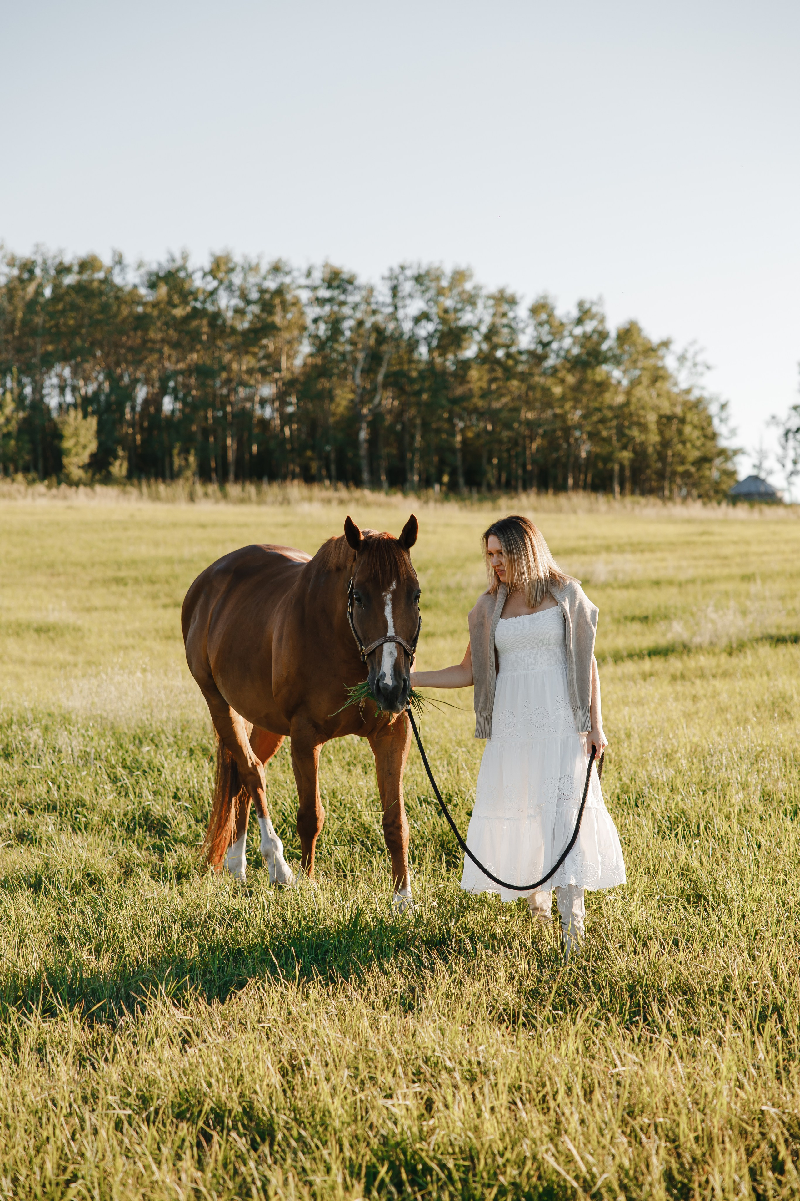 Maria. Sunset photoshoot with hourse