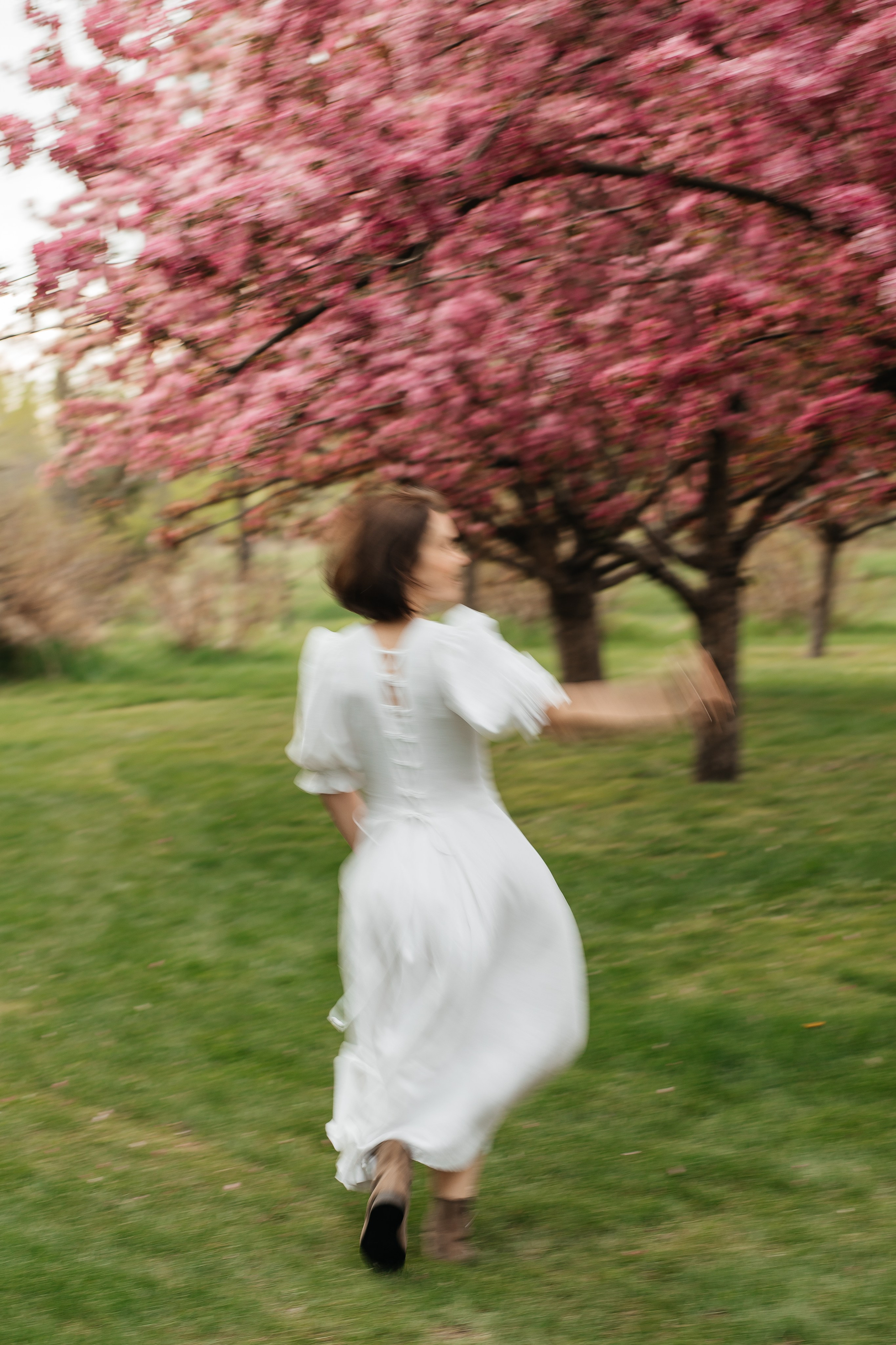 Alevtina. Cherry blossom