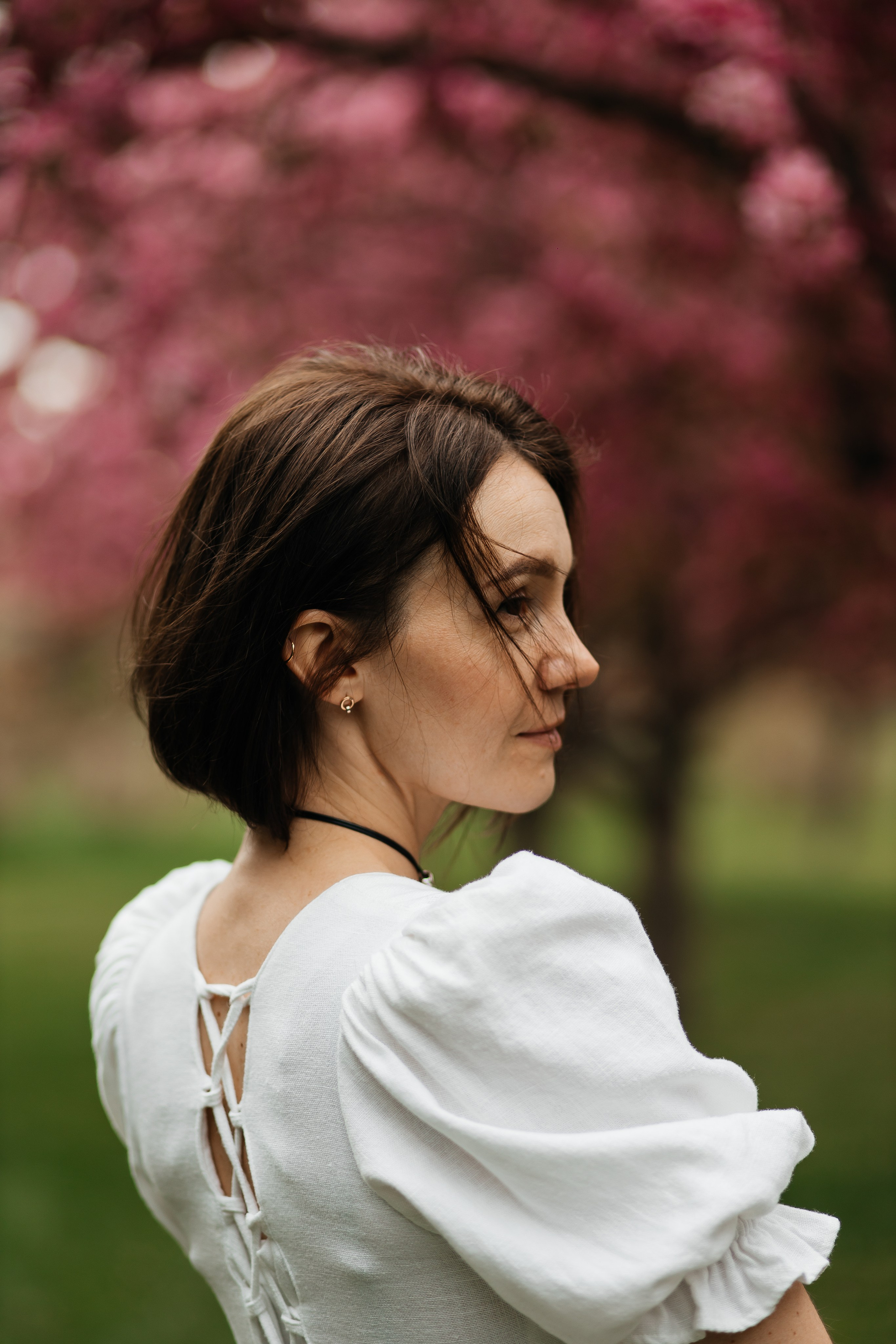 Alevtina. Cherry blossom