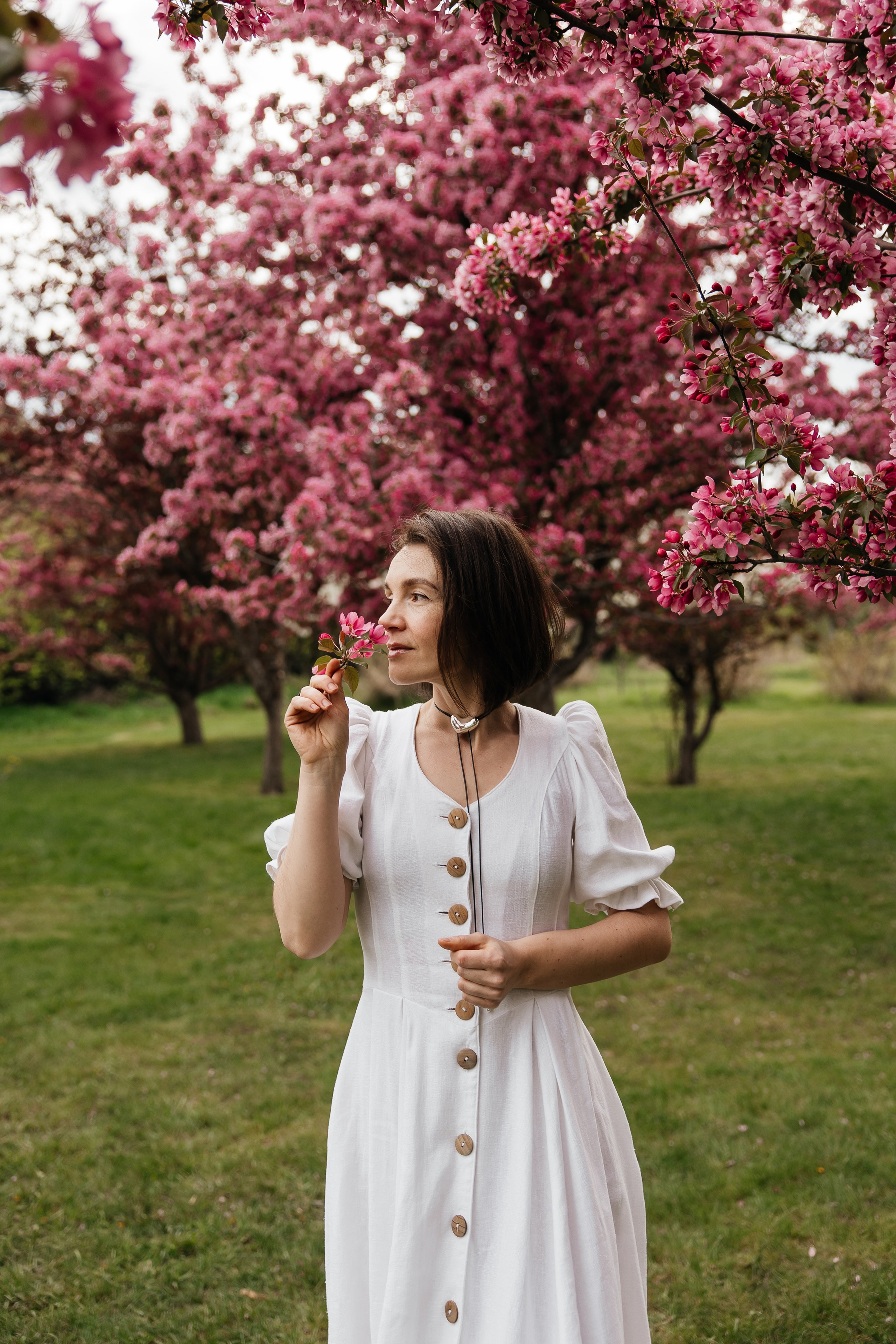 Alevtina. Cherry blossom