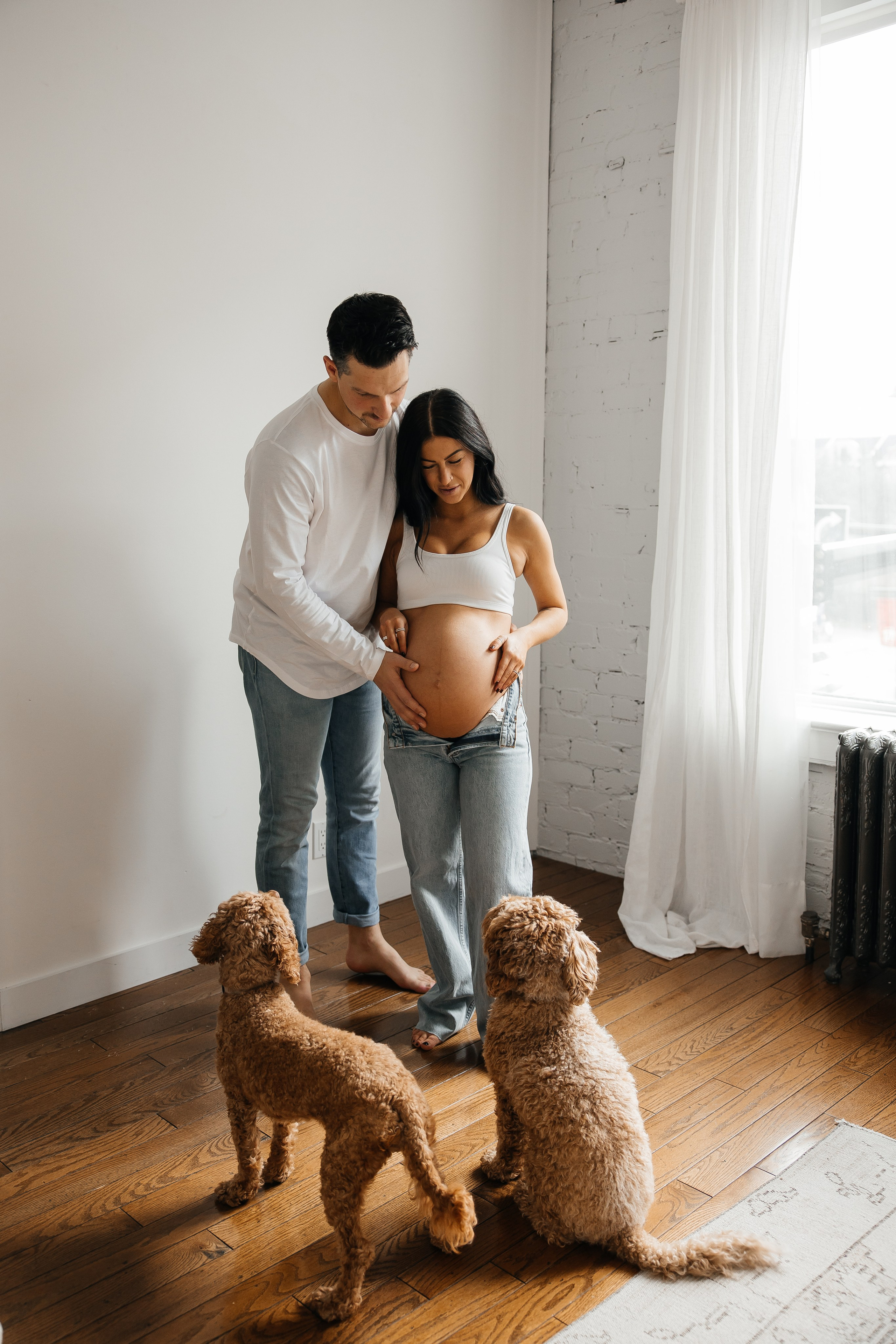 Maternity+2 cute dogs