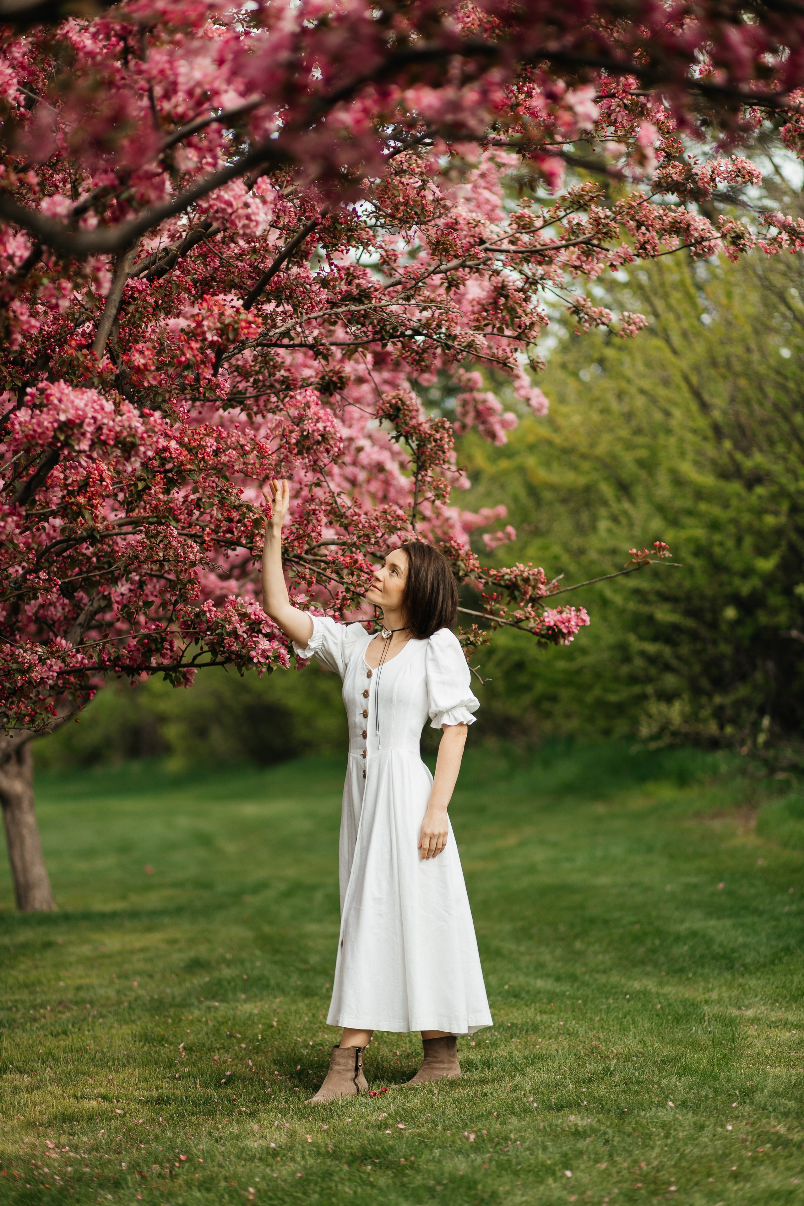 Alevtina. Cherry blossom