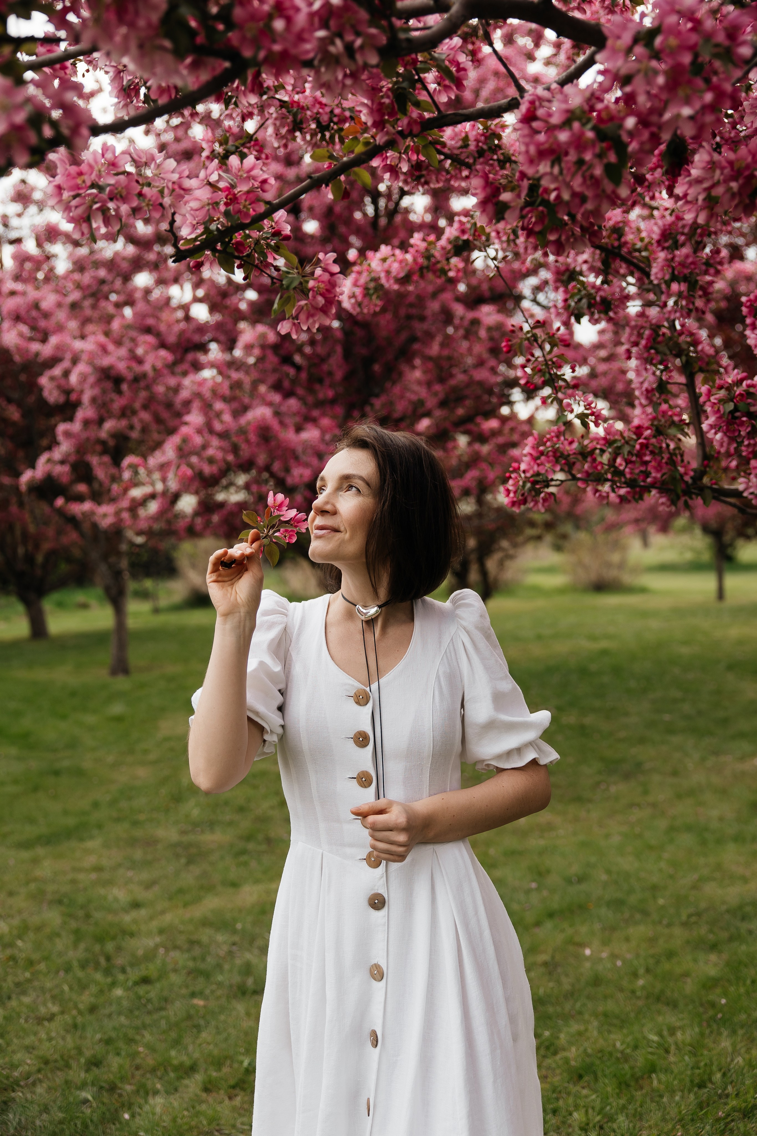 Alevtina. Cherry blossom