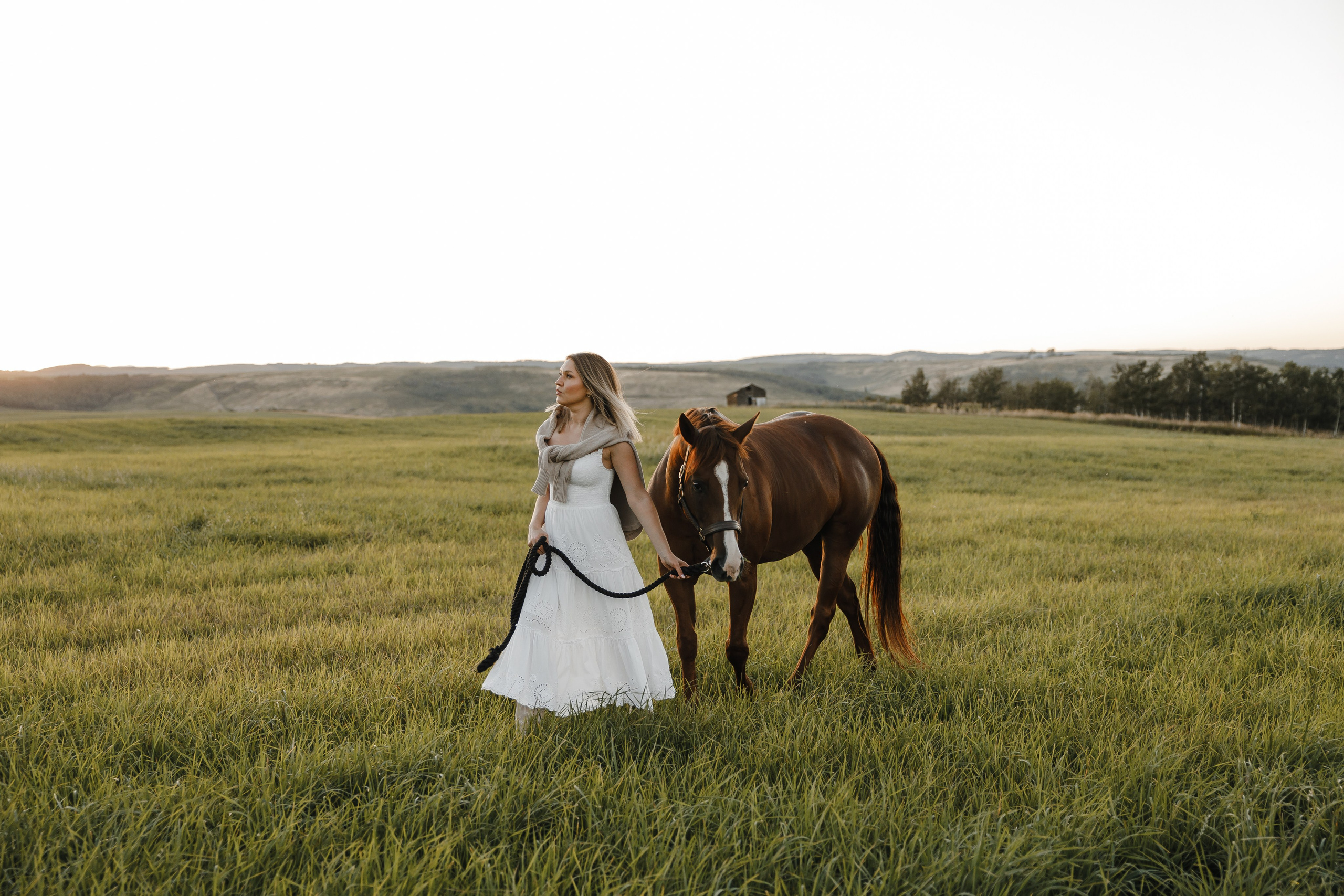 Maria. Sunset photoshoot with hourse