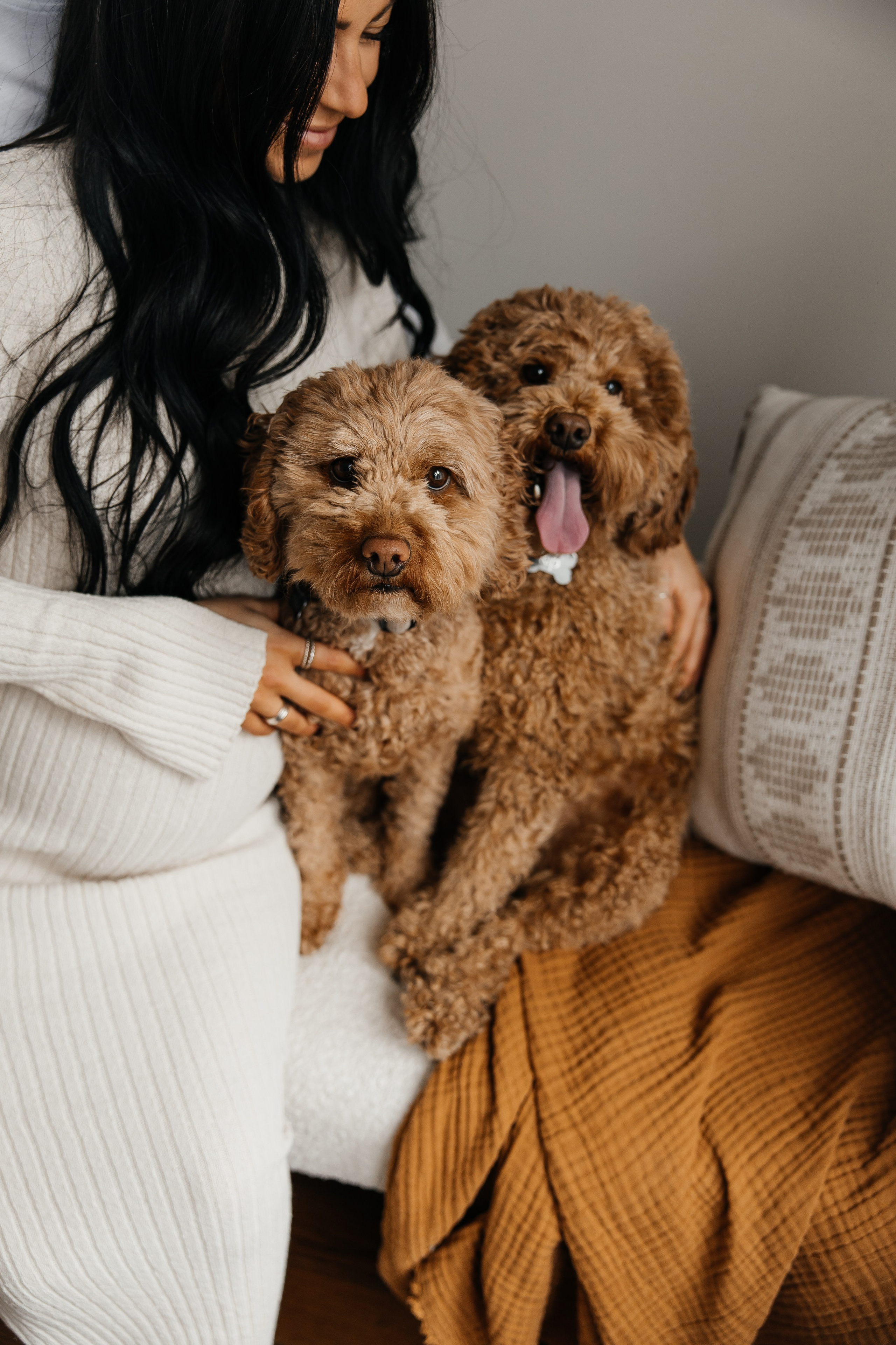 Maternity+2 cute dogs