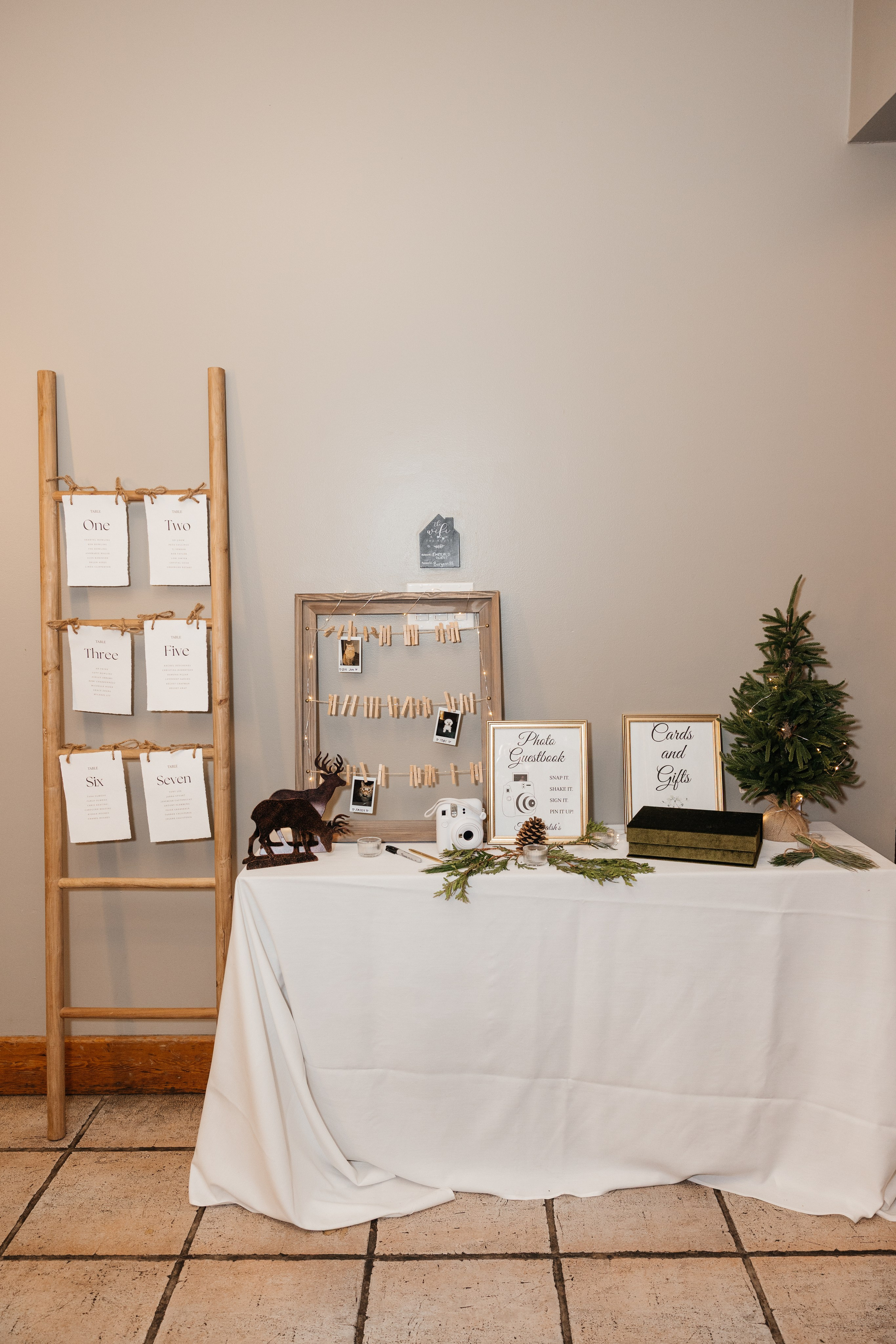 Winter wedding. Emerald lake lodge. Affordable Photographer in Calgary — Tetiana Shuhai