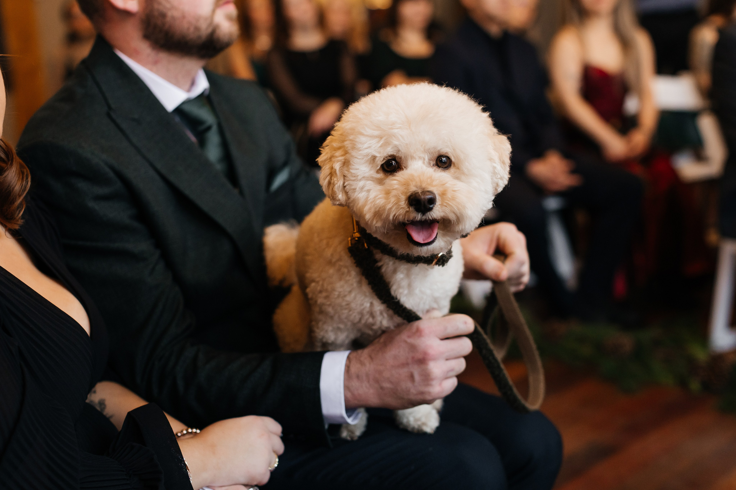 Winter wedding. Emerald lake lodge. Affordable Photographer in Calgary — Tetiana Shuhai
