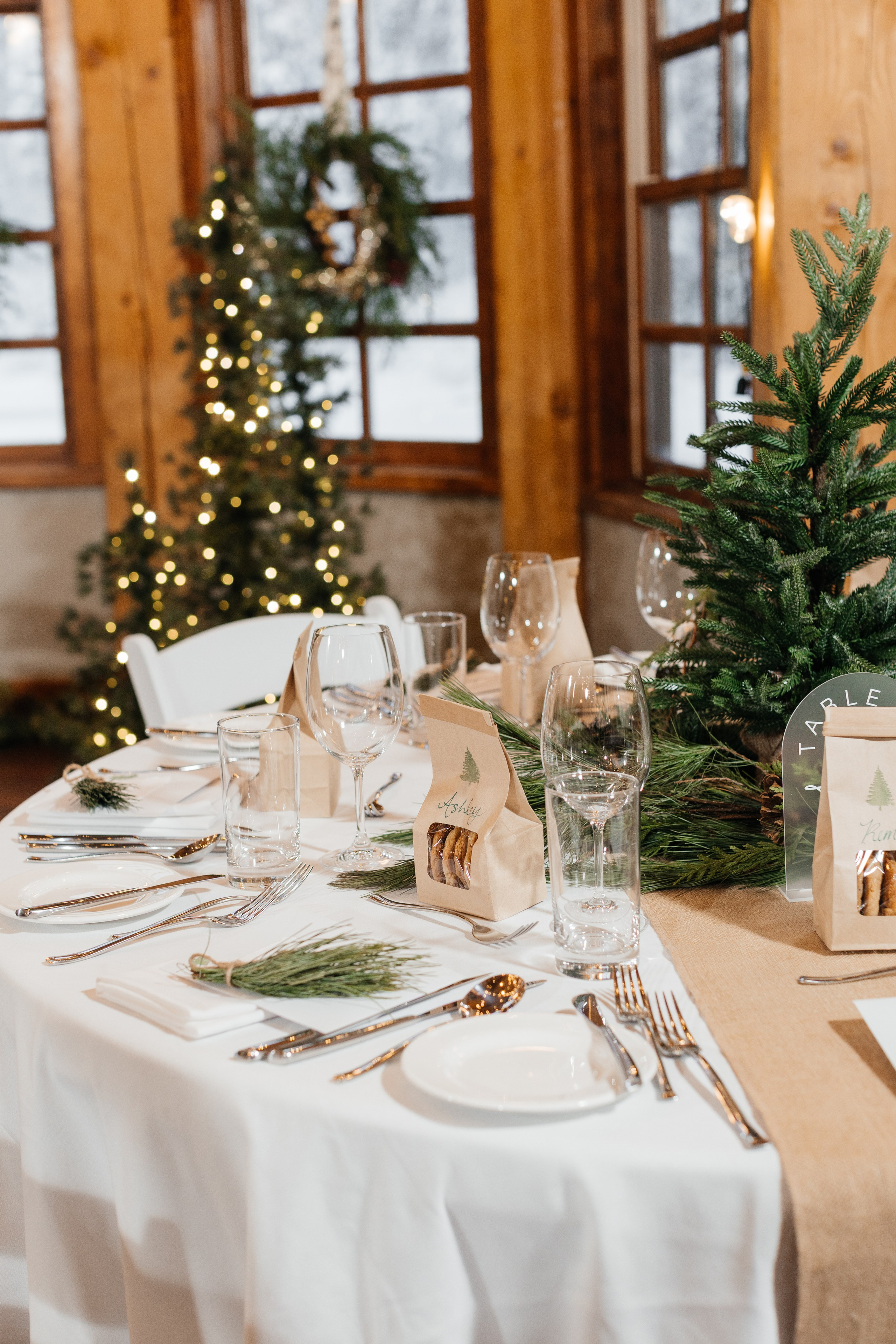Winter wedding. Emerald lake lodge. Affordable Photographer in Calgary — Tetiana Shuhai