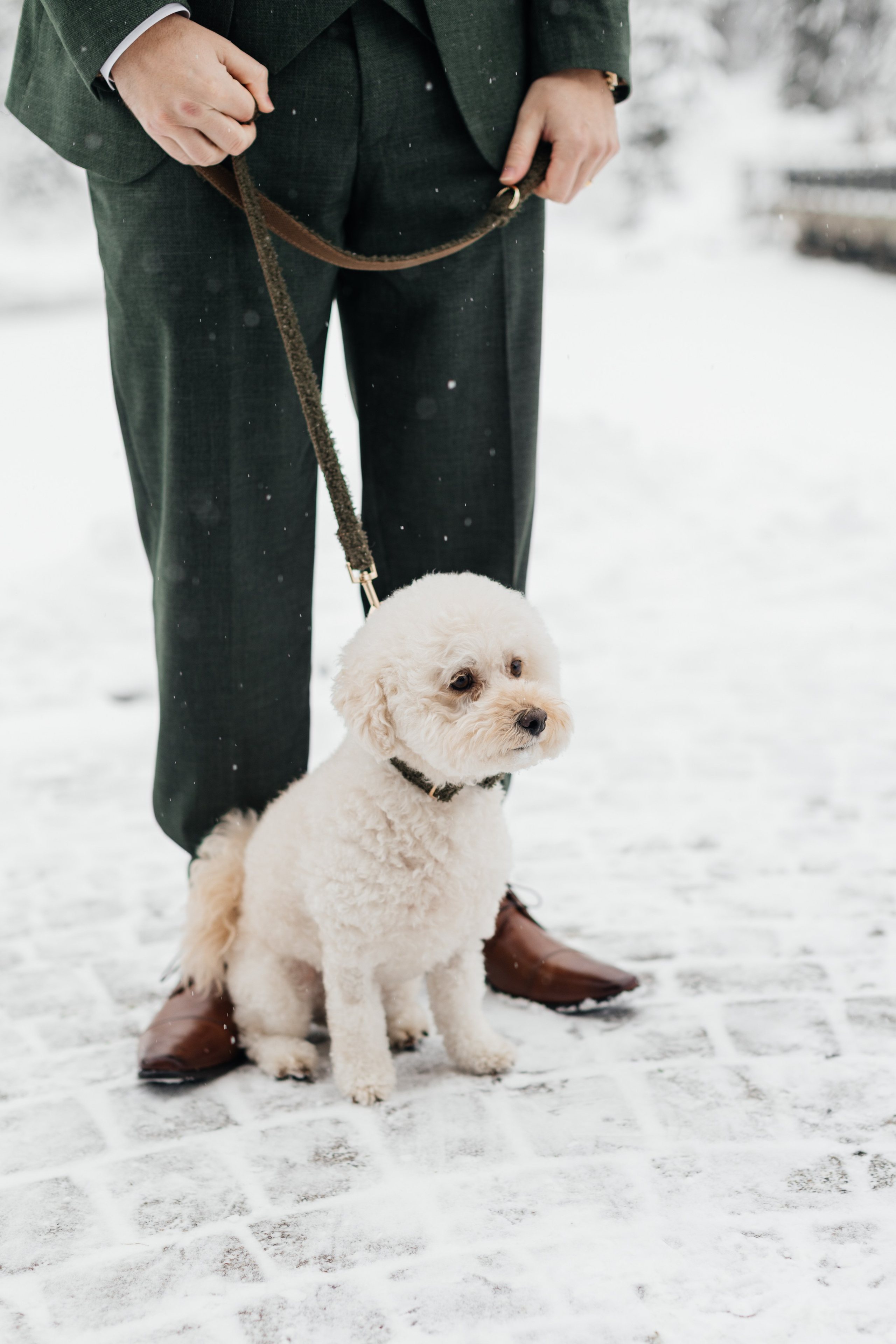 Winter wedding. Emerald lake lodge. Affordable Photographer in Calgary — Tetiana Shuhai