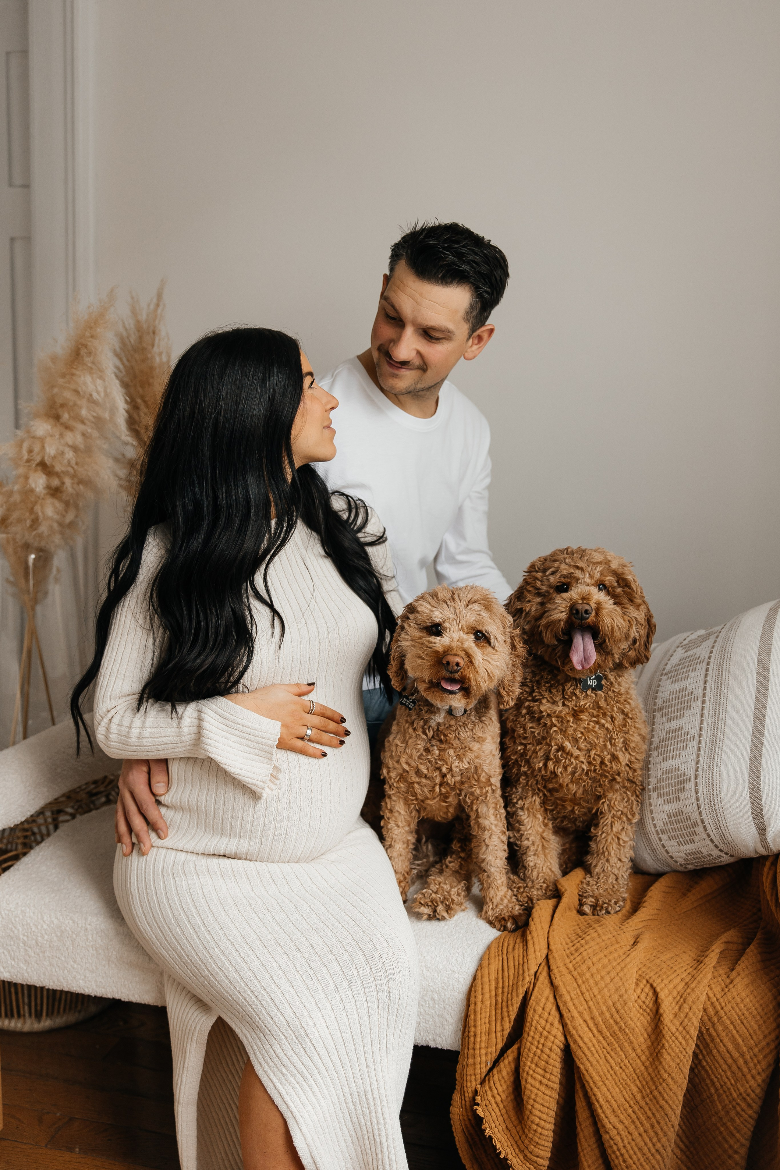 Maternity+2 cute dogs