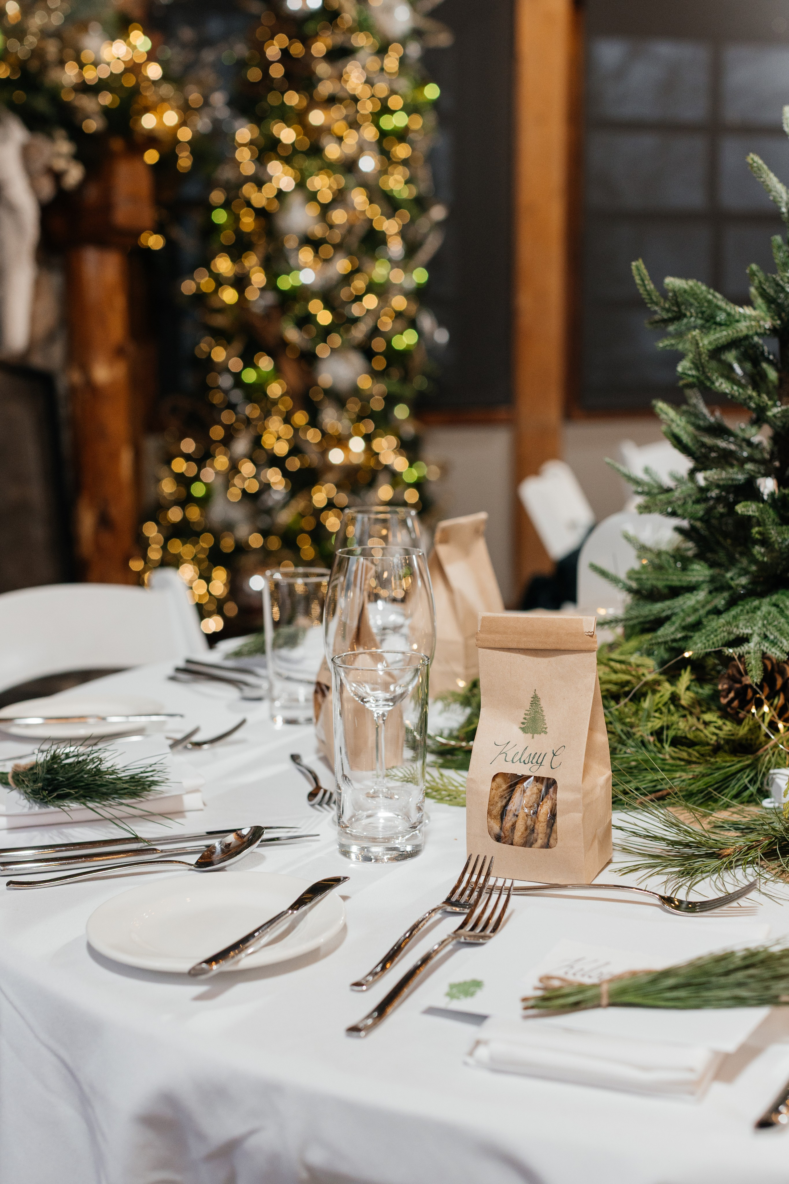 Winter wedding. Emerald lake lodge. Affordable Photographer in Calgary — Tetiana Shuhai