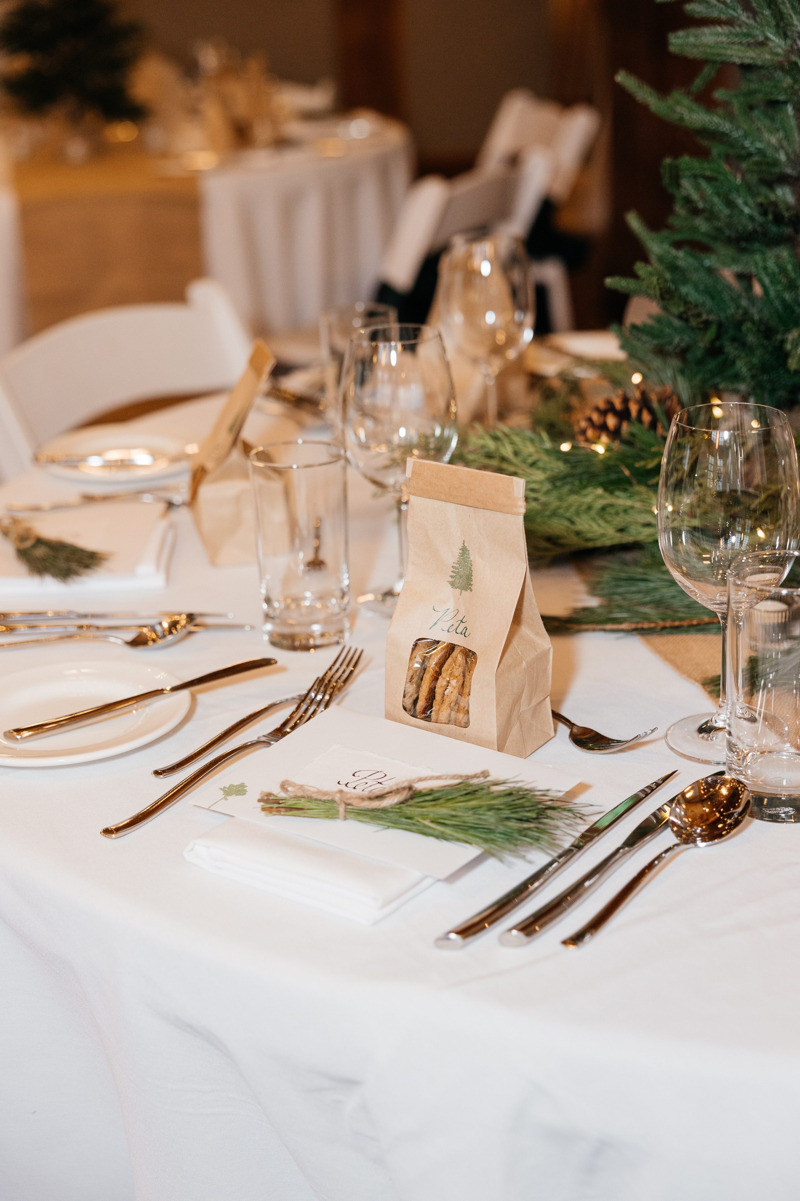 Winter wedding. Emerald lake lodge. Affordable Photographer in Calgary — Tetiana Shuhai