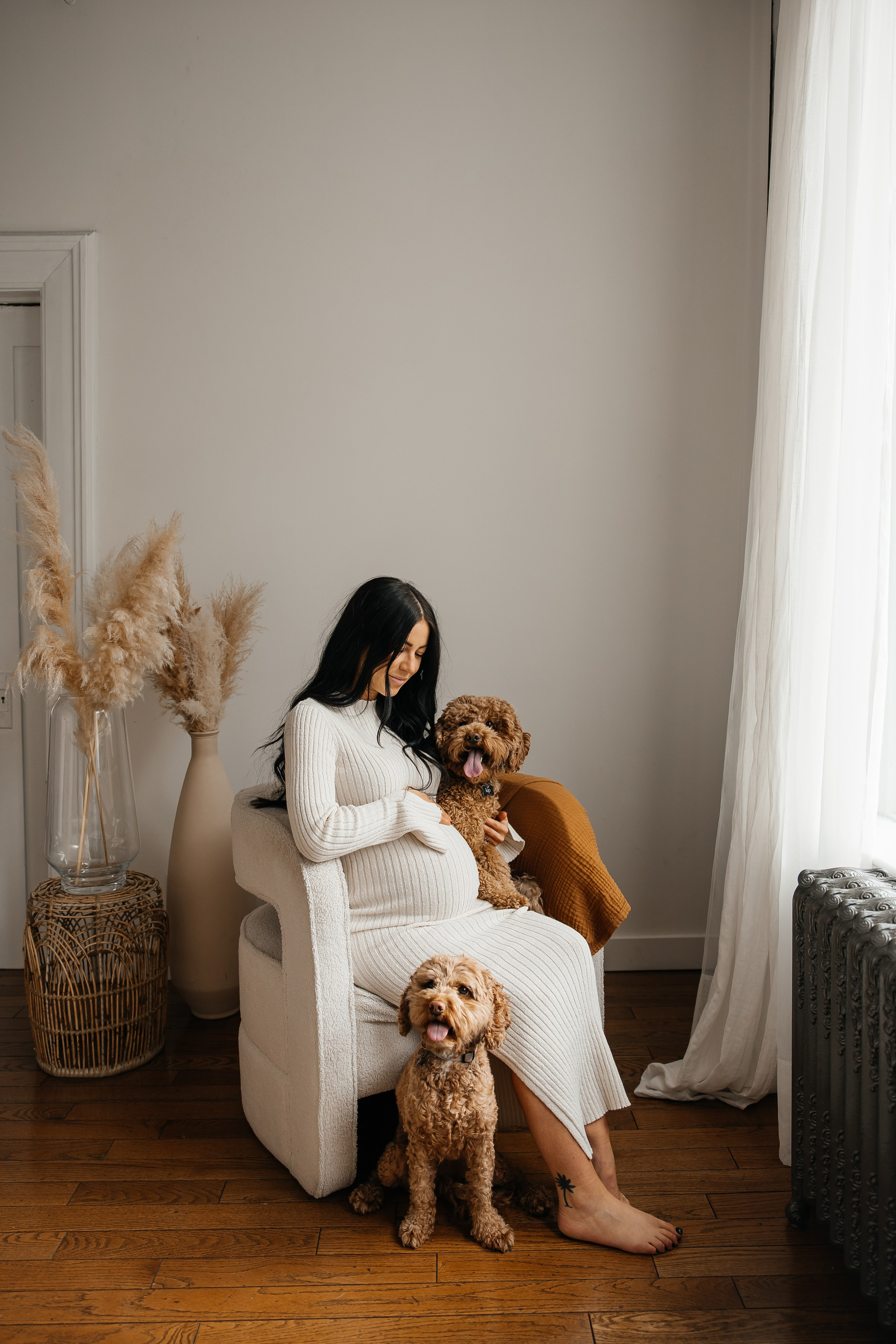 Maternity+2 cute dogs