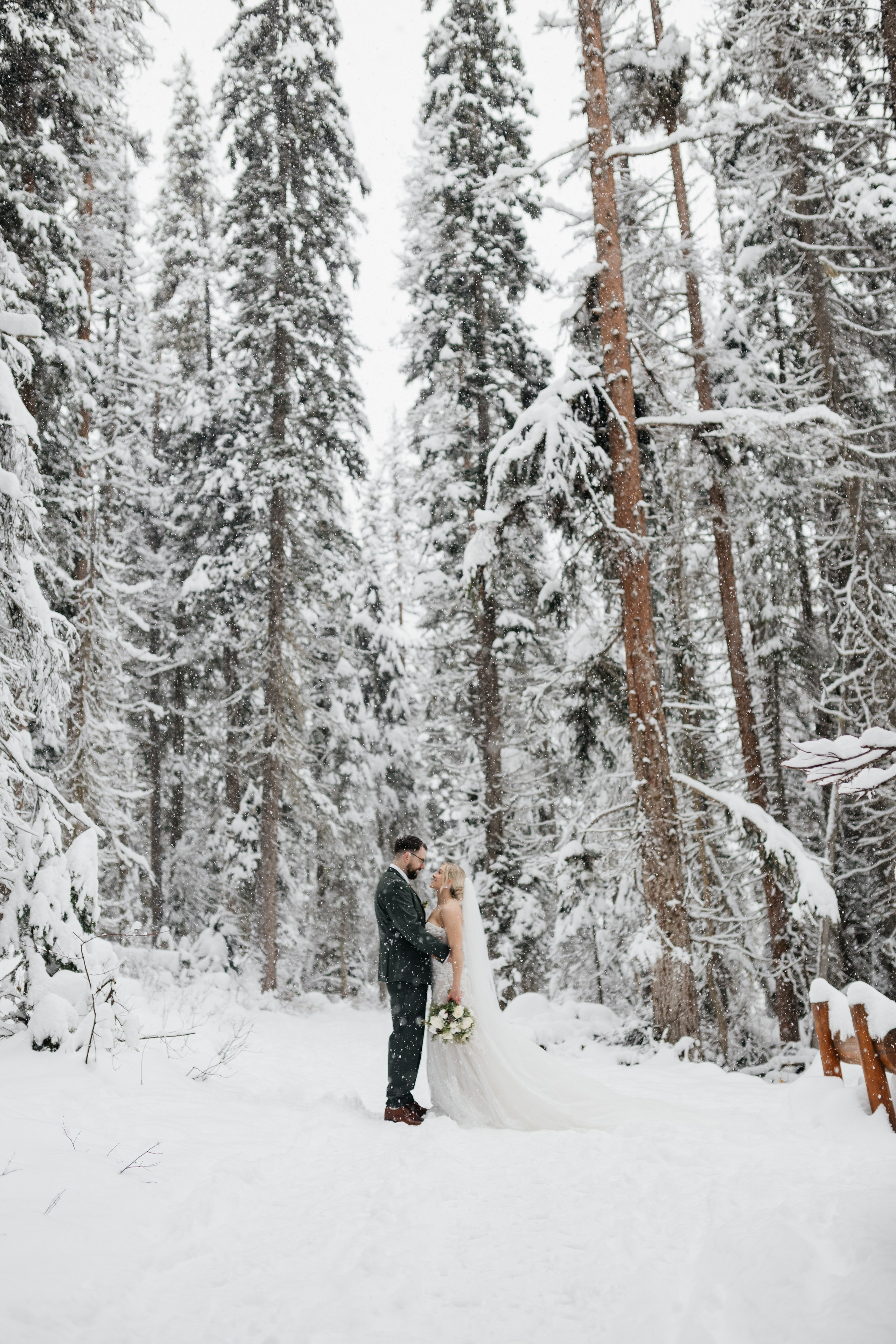 Winter wedding. Emerald lake lodge. Affordable Photographer in Calgary — Tetiana Shuhai