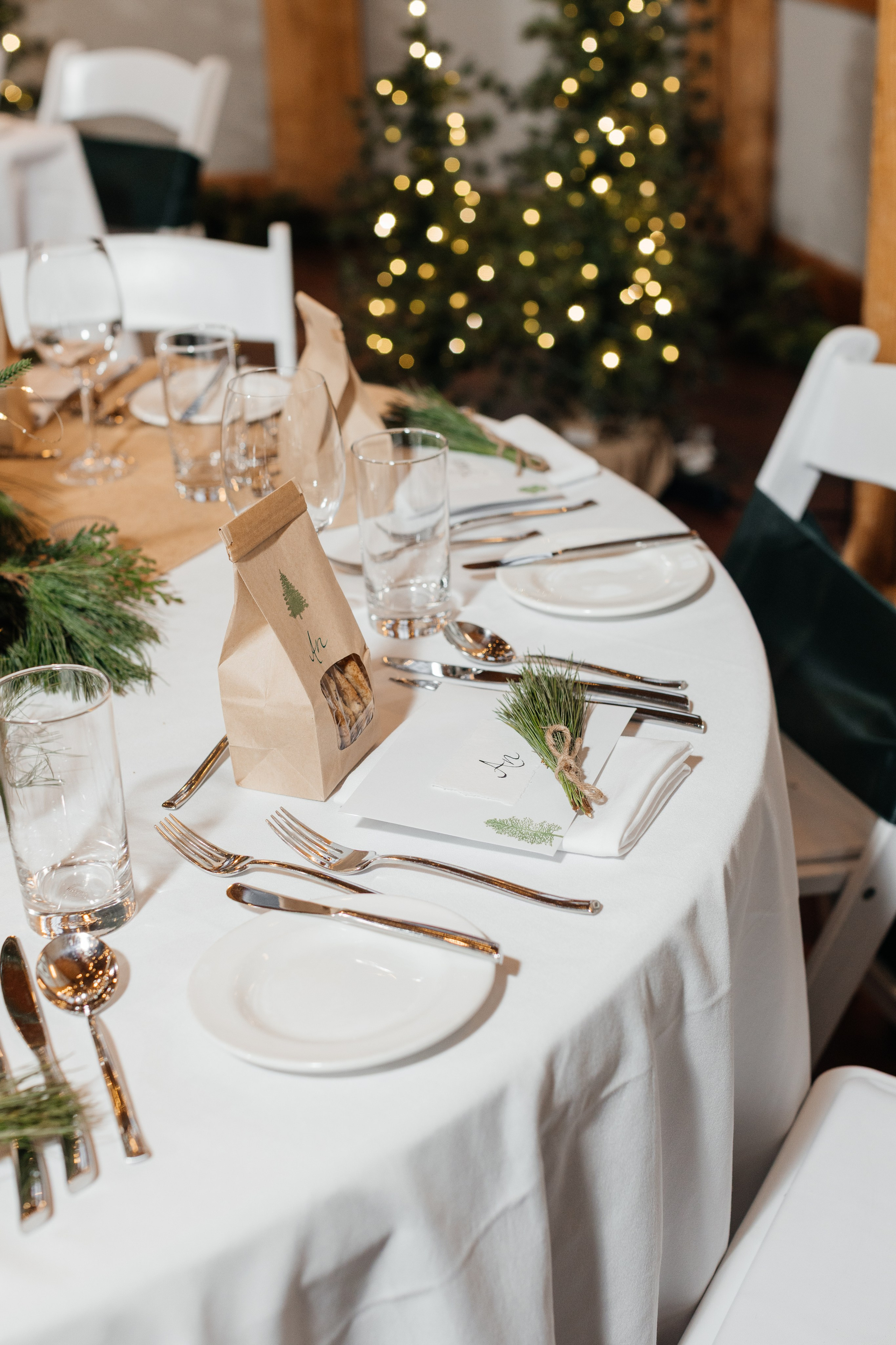 Winter wedding. Emerald lake lodge. Affordable Photographer in Calgary — Tetiana Shuhai