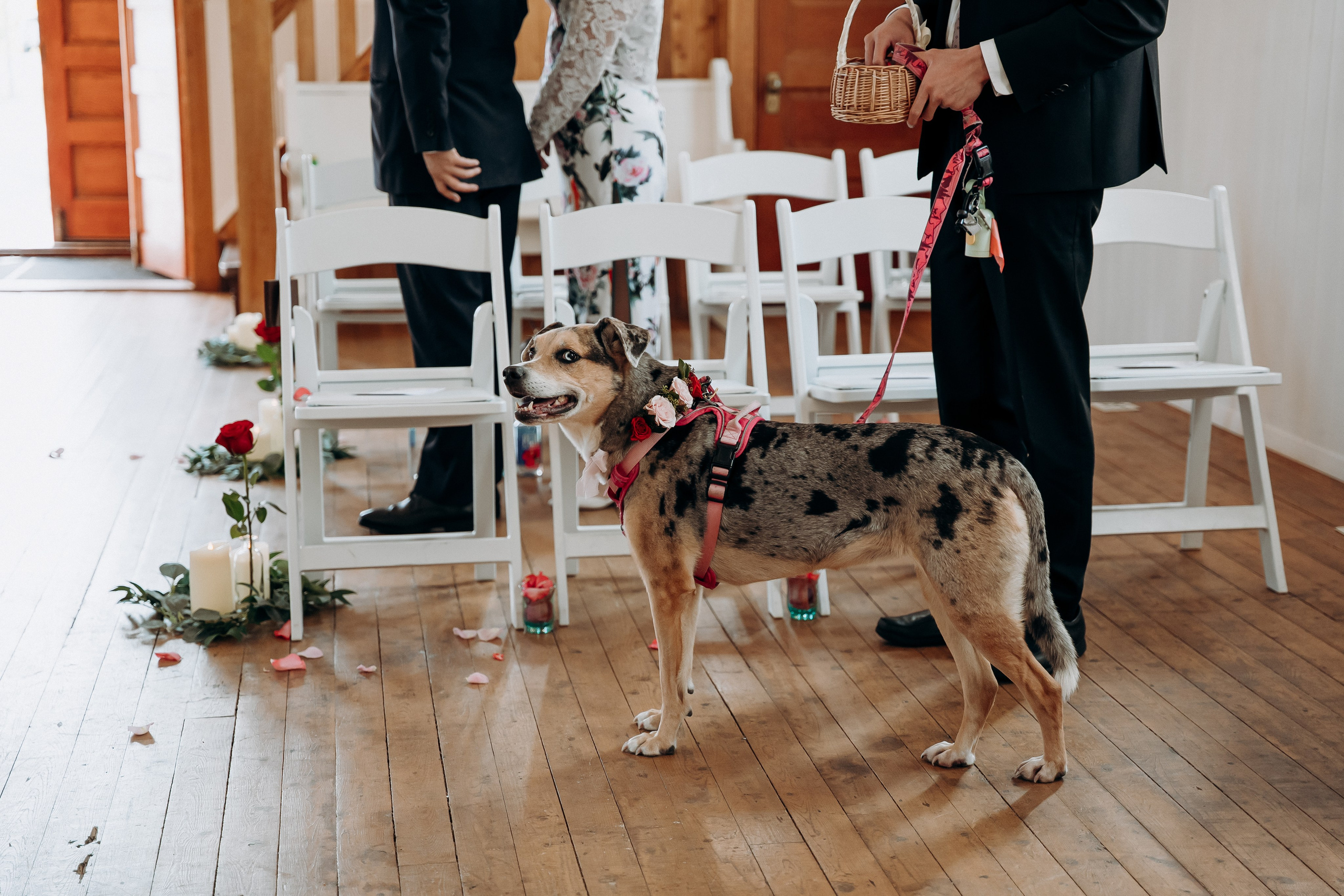 Jane. Affordable Photographer in Calgary — Tetiana Shuhai