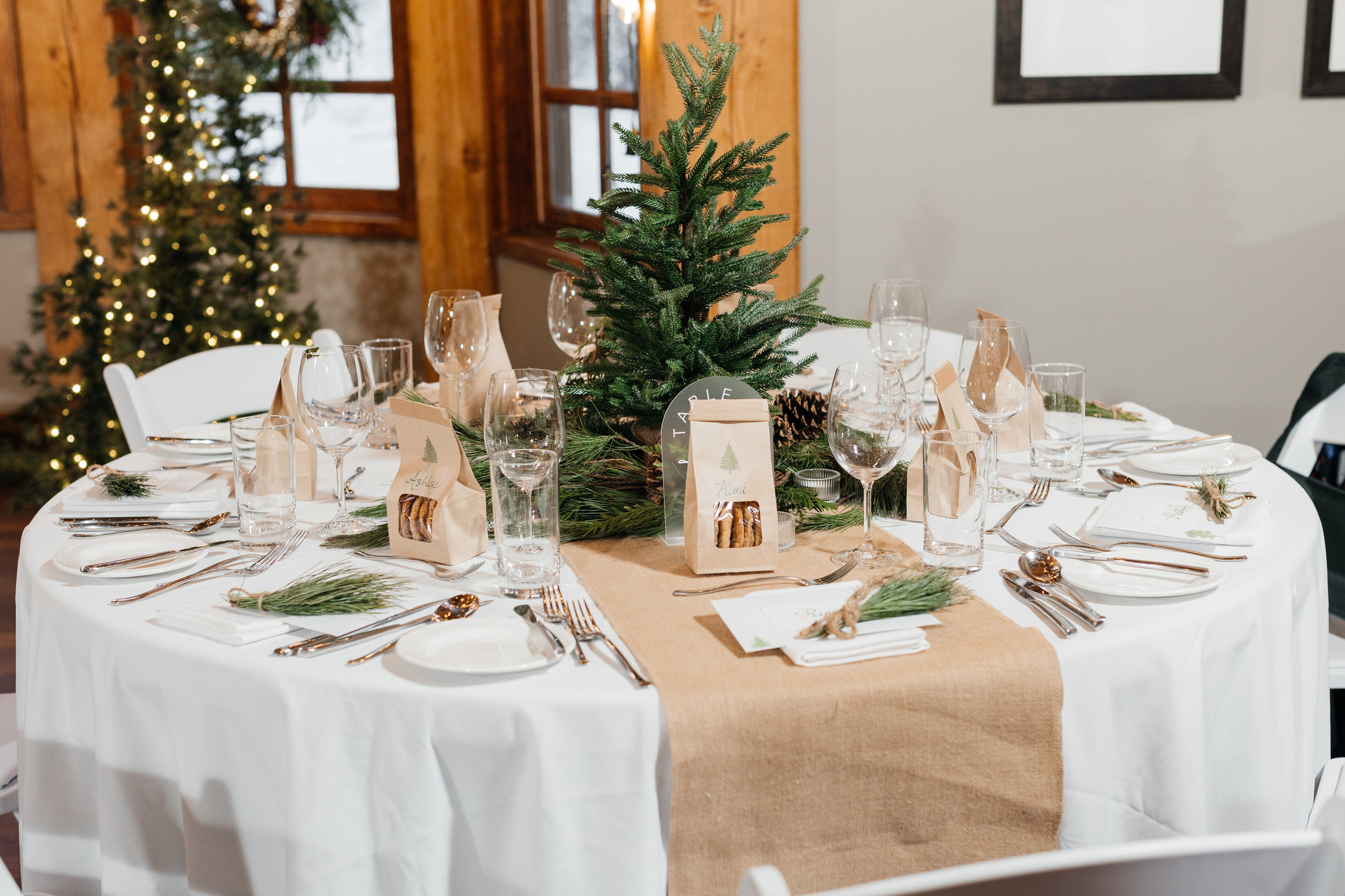 Winter wedding. Emerald lake lodge. Affordable Photographer in Calgary — Tetiana Shuhai