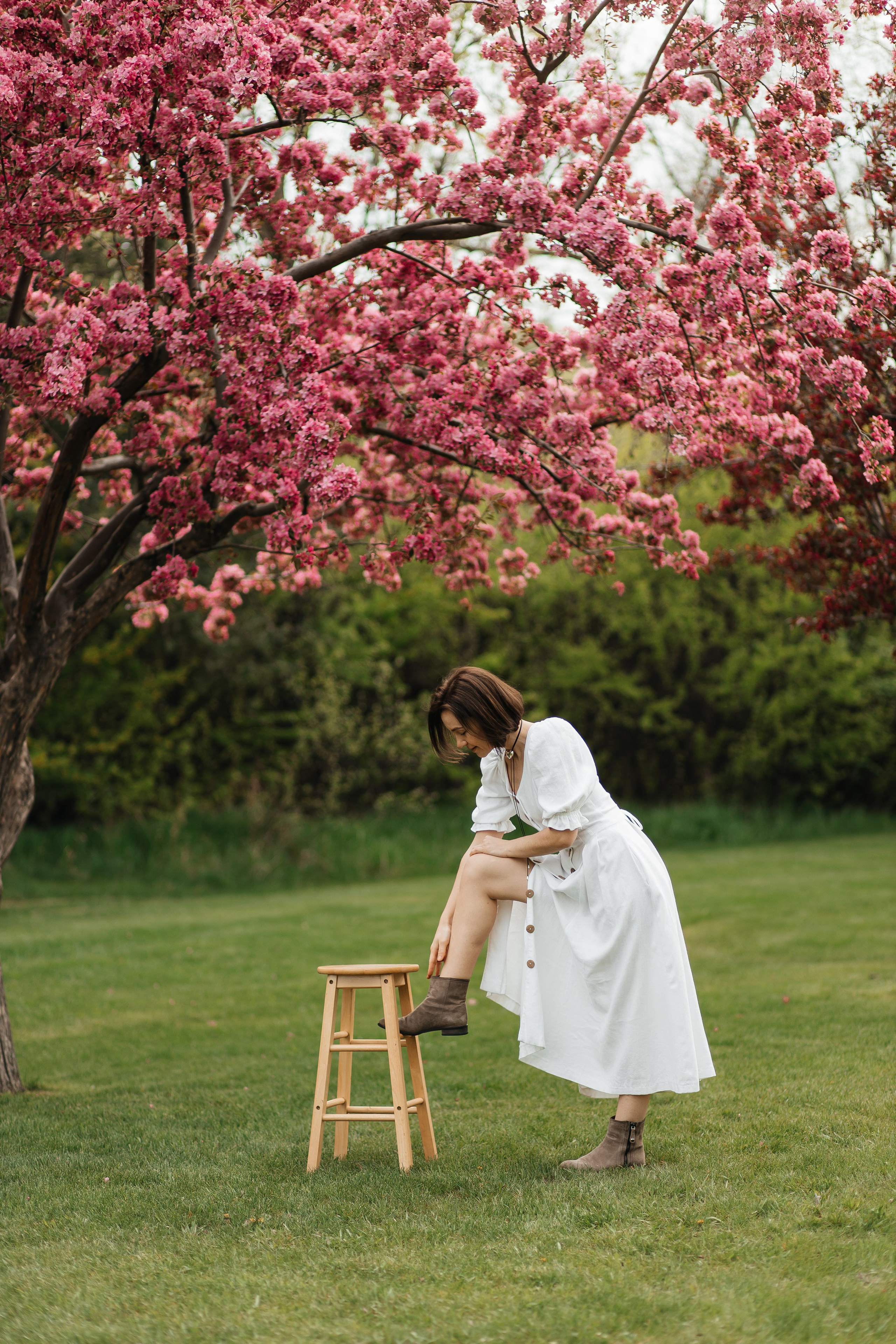Alevtina. Cherry blossom