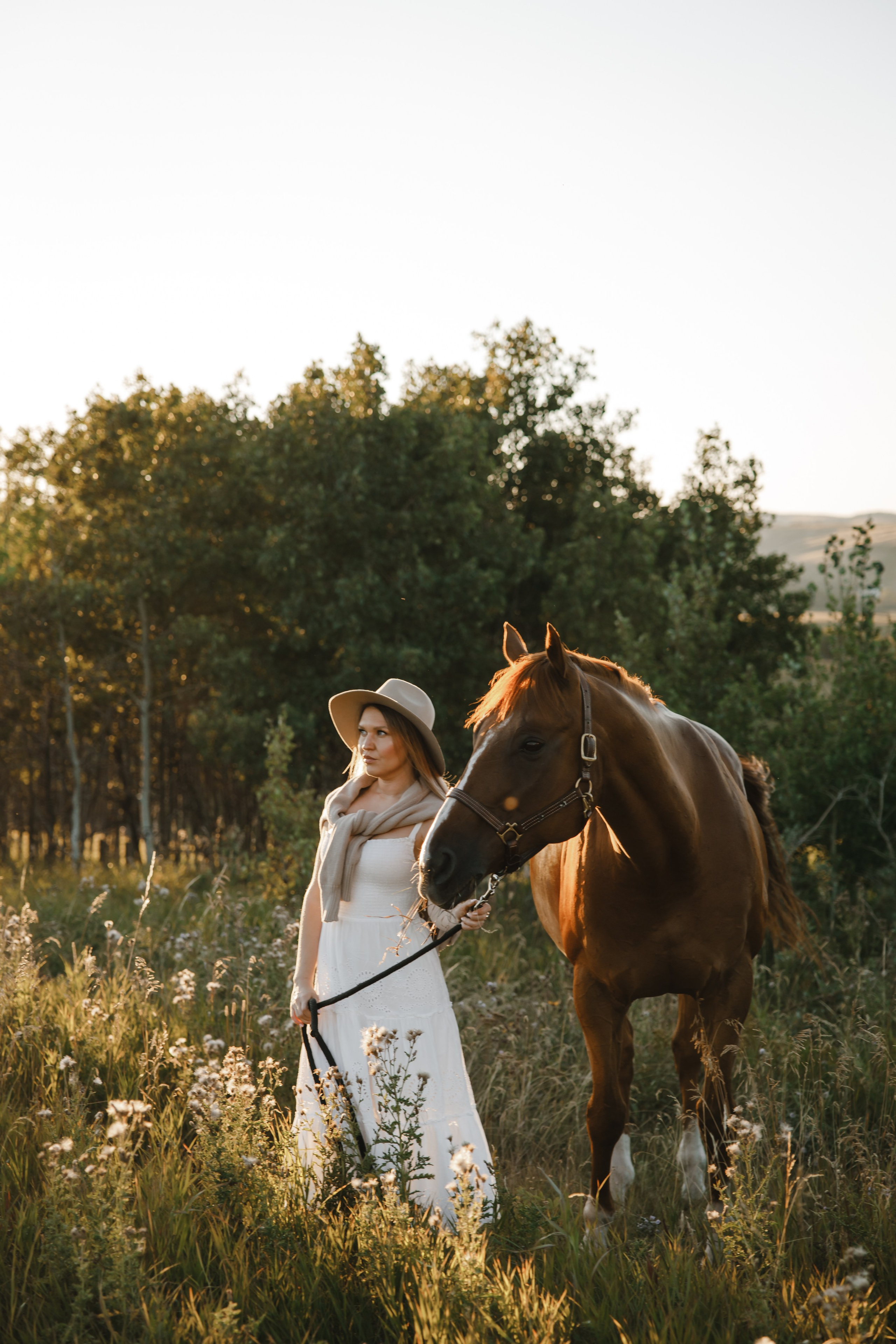 Maria. Sunset photoshoot with hourse