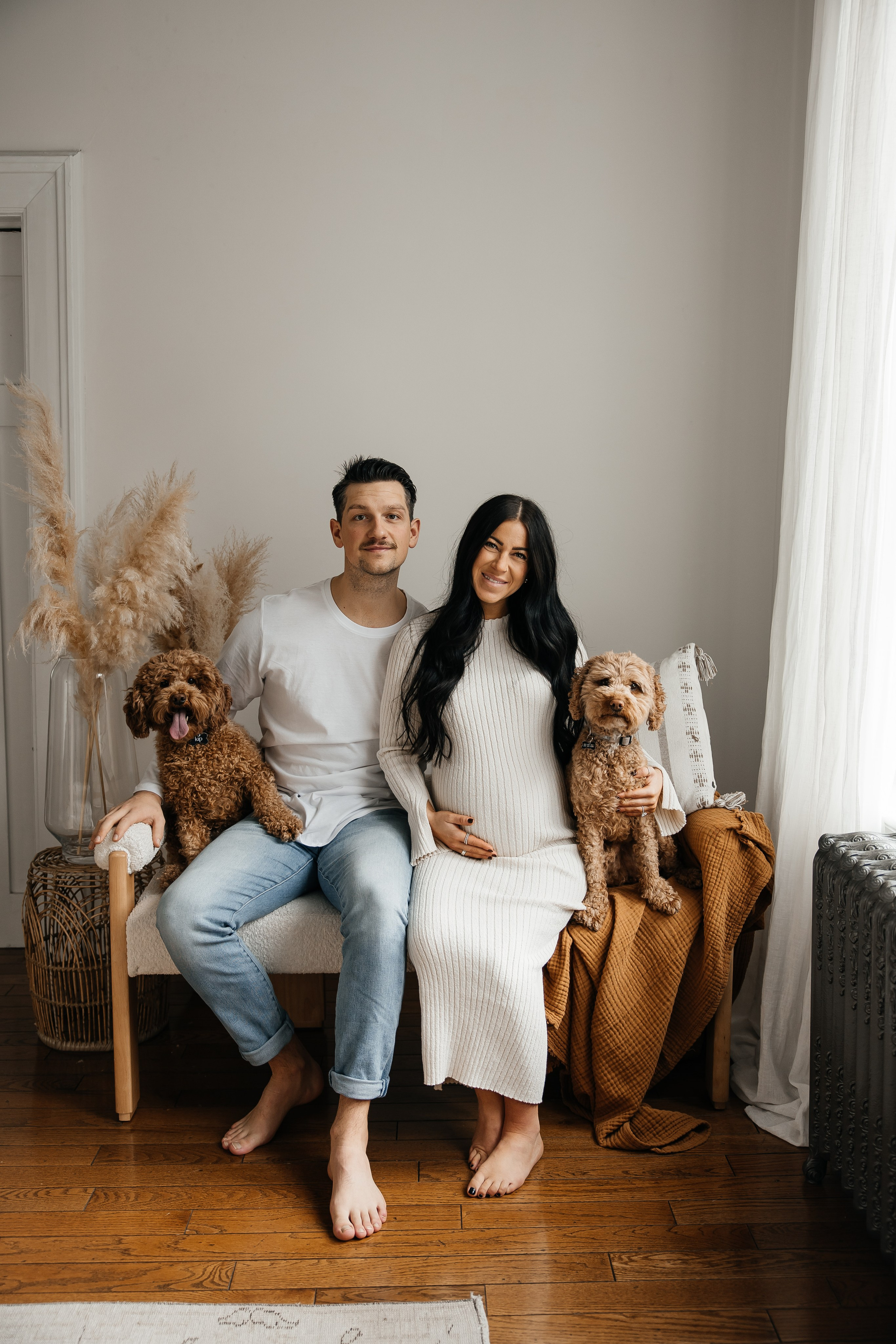 Maternity+2 cute dogs