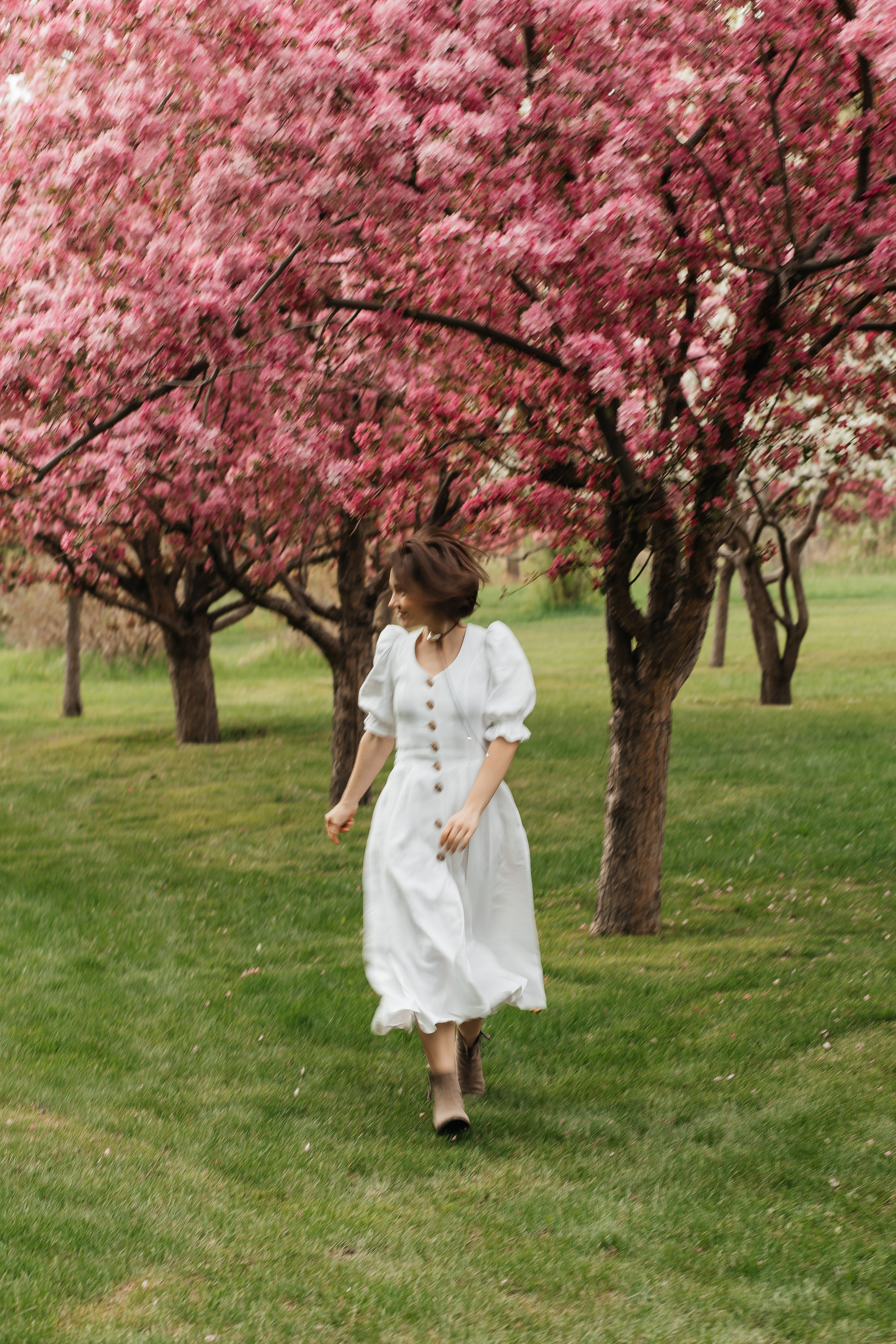 Alevtina. Cherry blossom