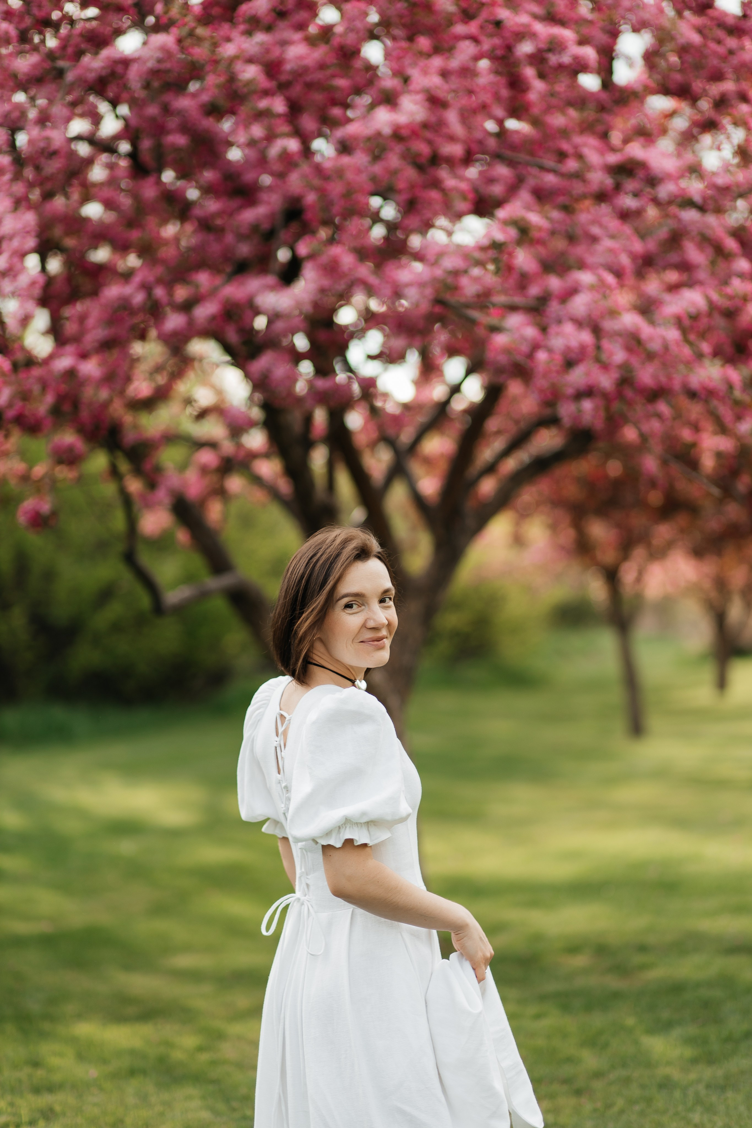Alevtina. Cherry blossom