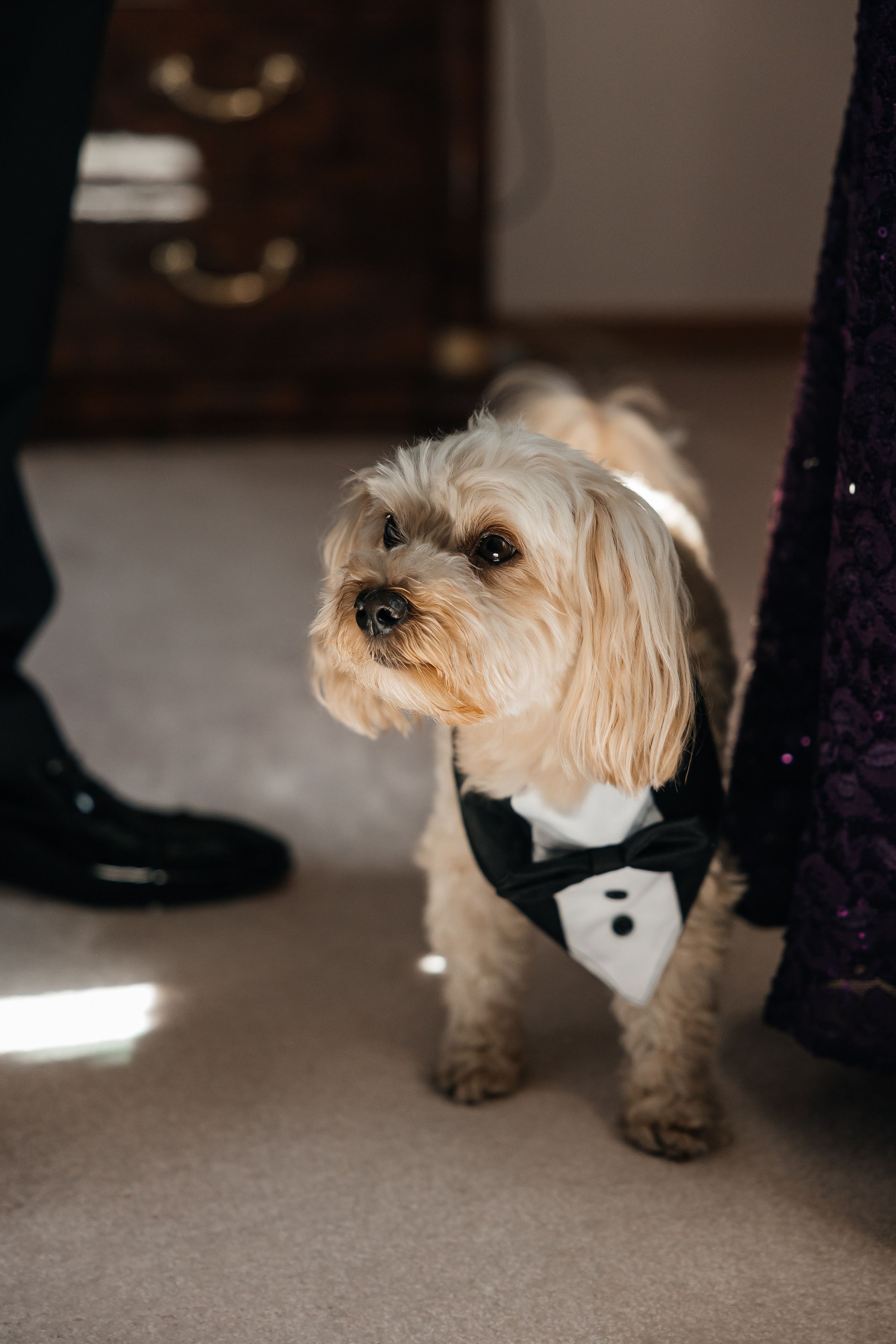 Laura&Roberto. Affordable Photographer in Calgary — Tetiana Shuhai