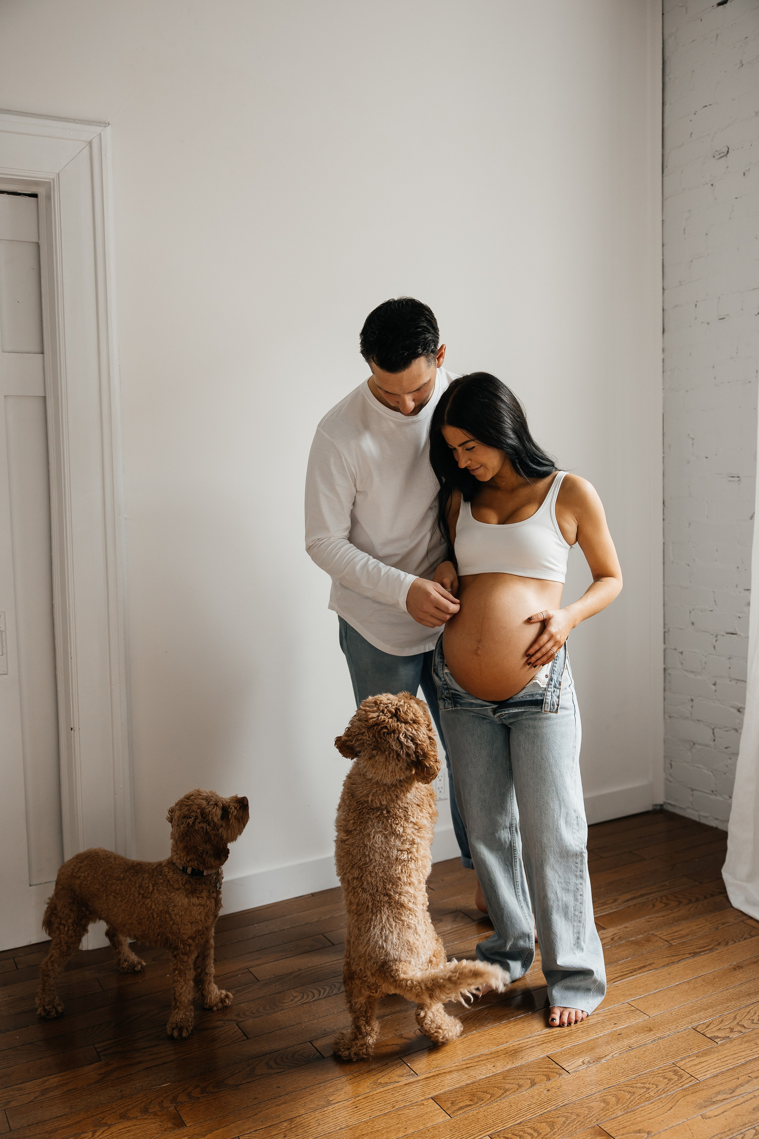 Maternity+2 cute dogs