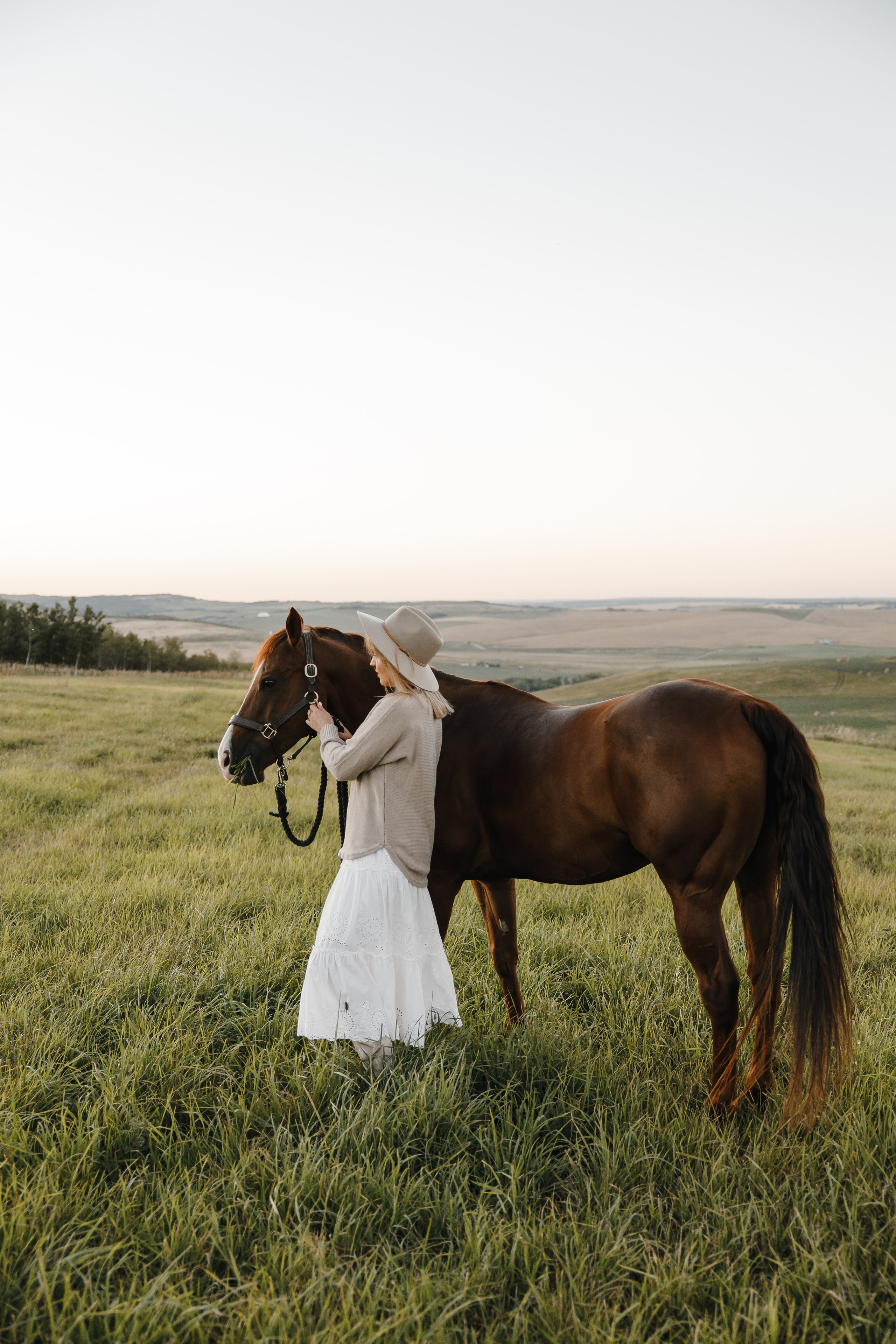 Maria. Sunset photoshoot with hourse
