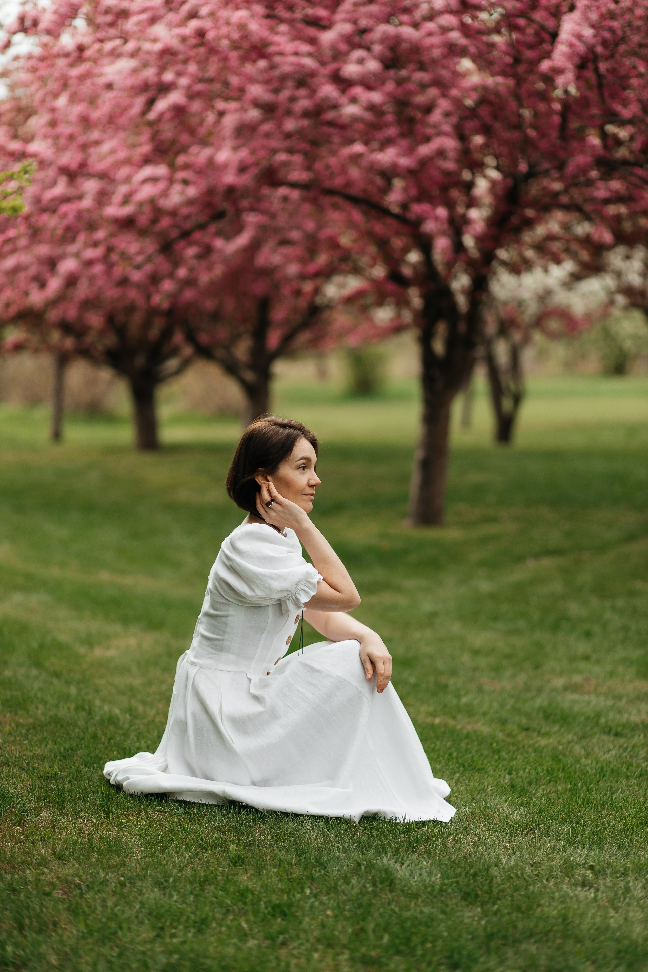 Alevtina. Cherry blossom