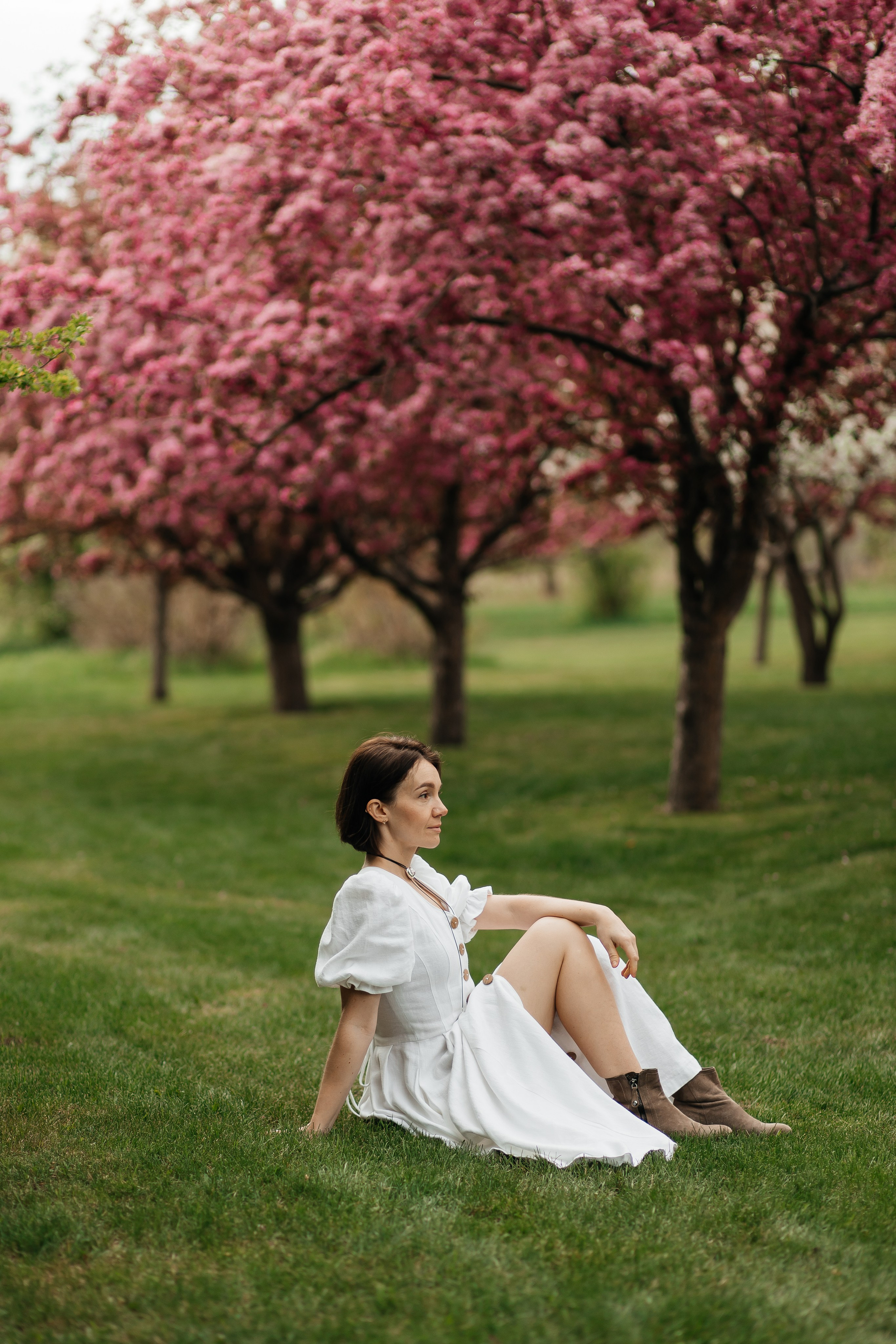 Alevtina. Cherry blossom