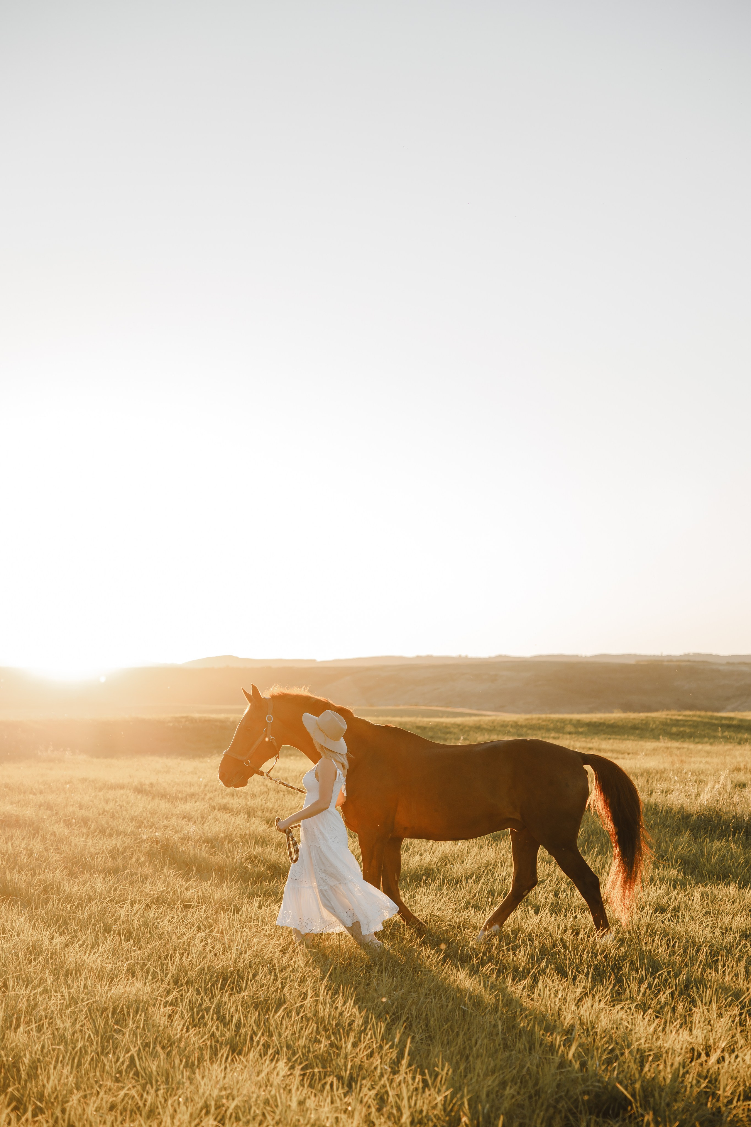 Maria. Sunset photoshoot with hourse