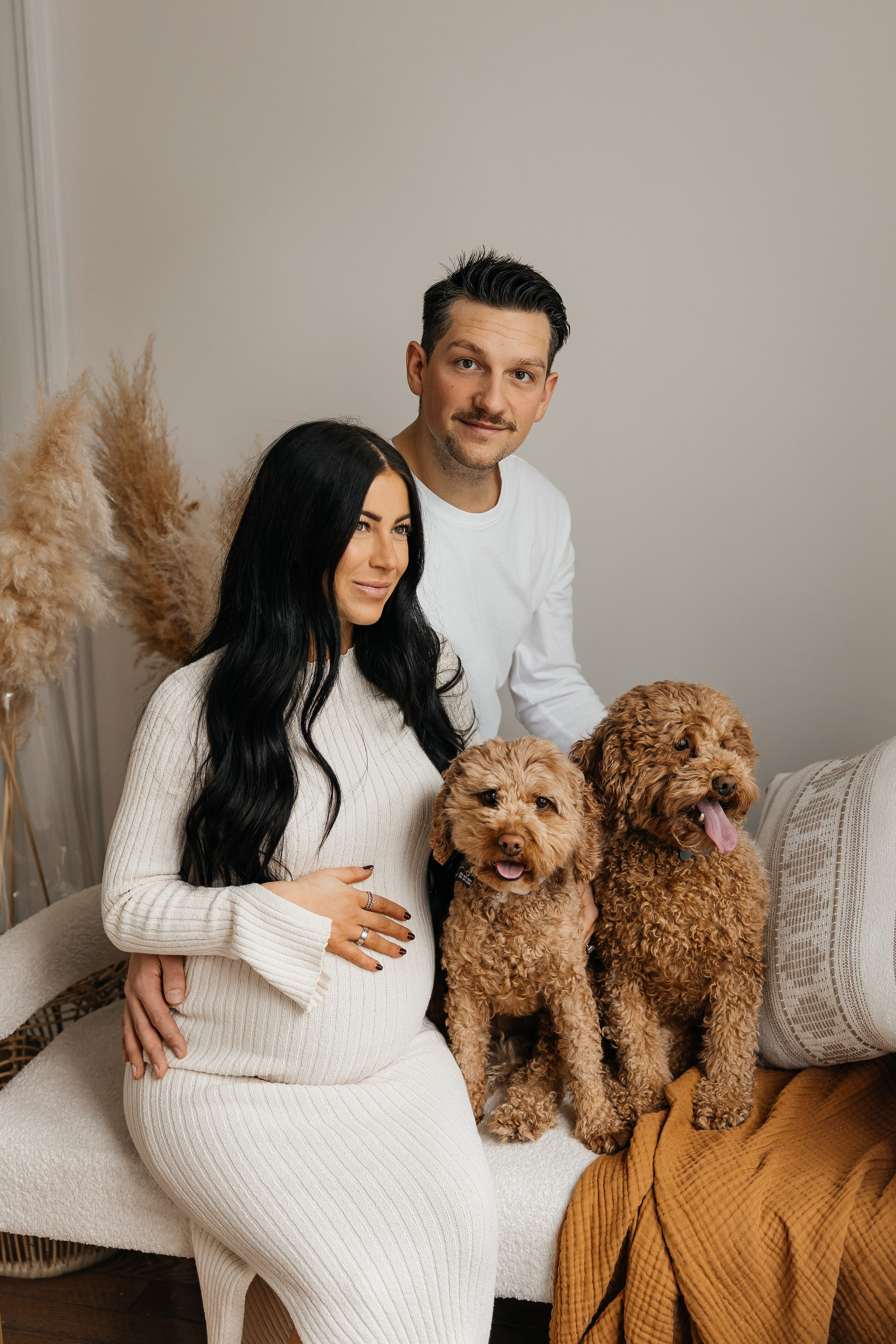Maternity+2 cute dogs