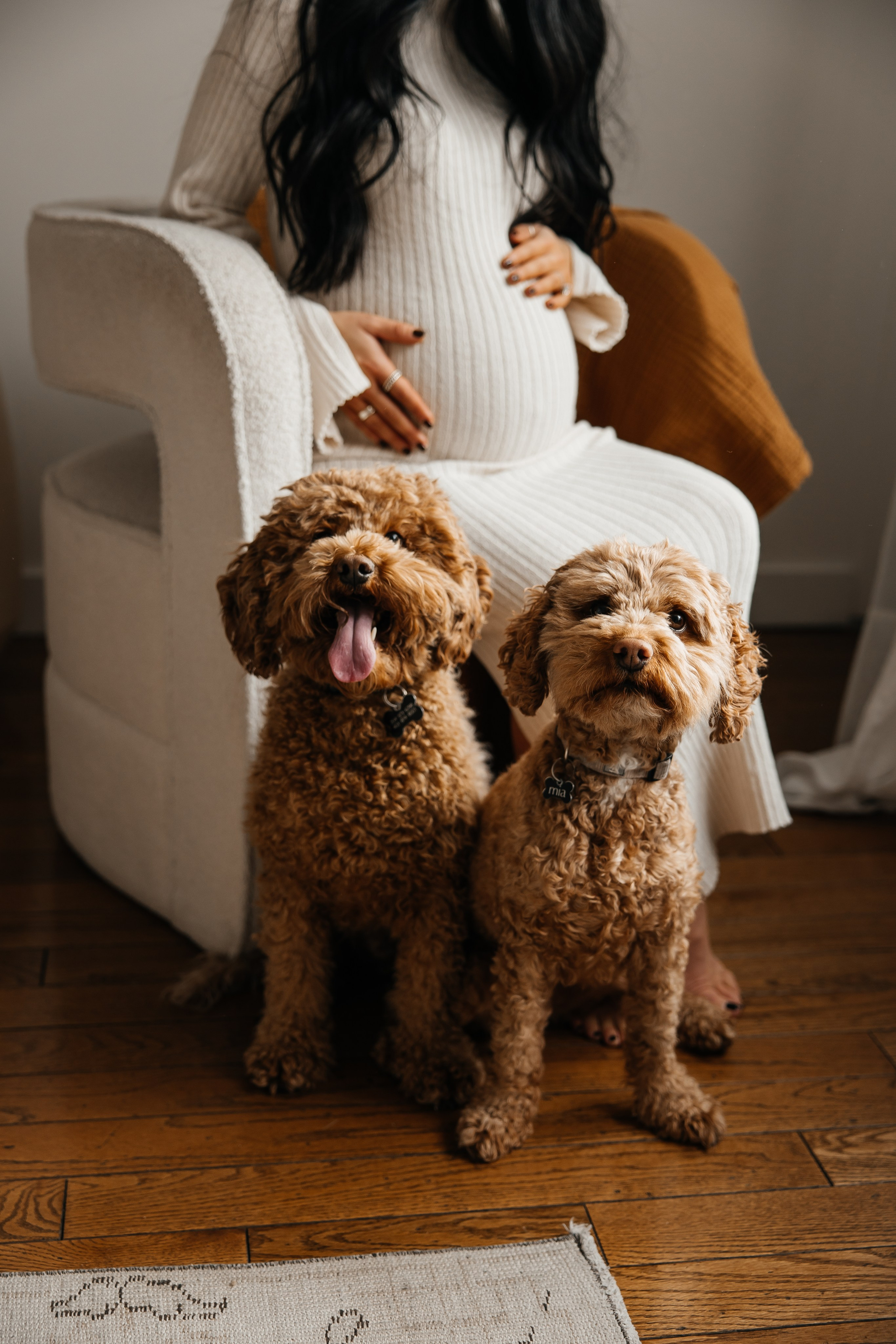 Maternity+2 cute dogs