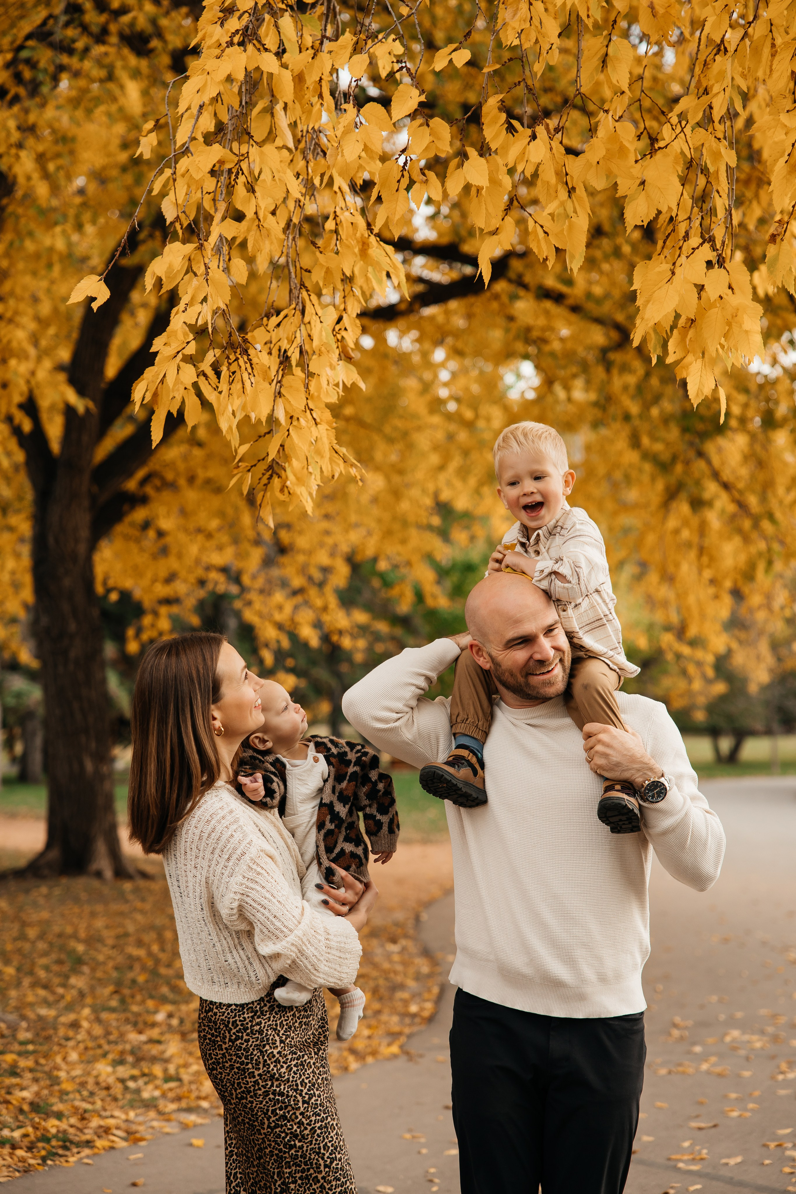 Family.Fall session